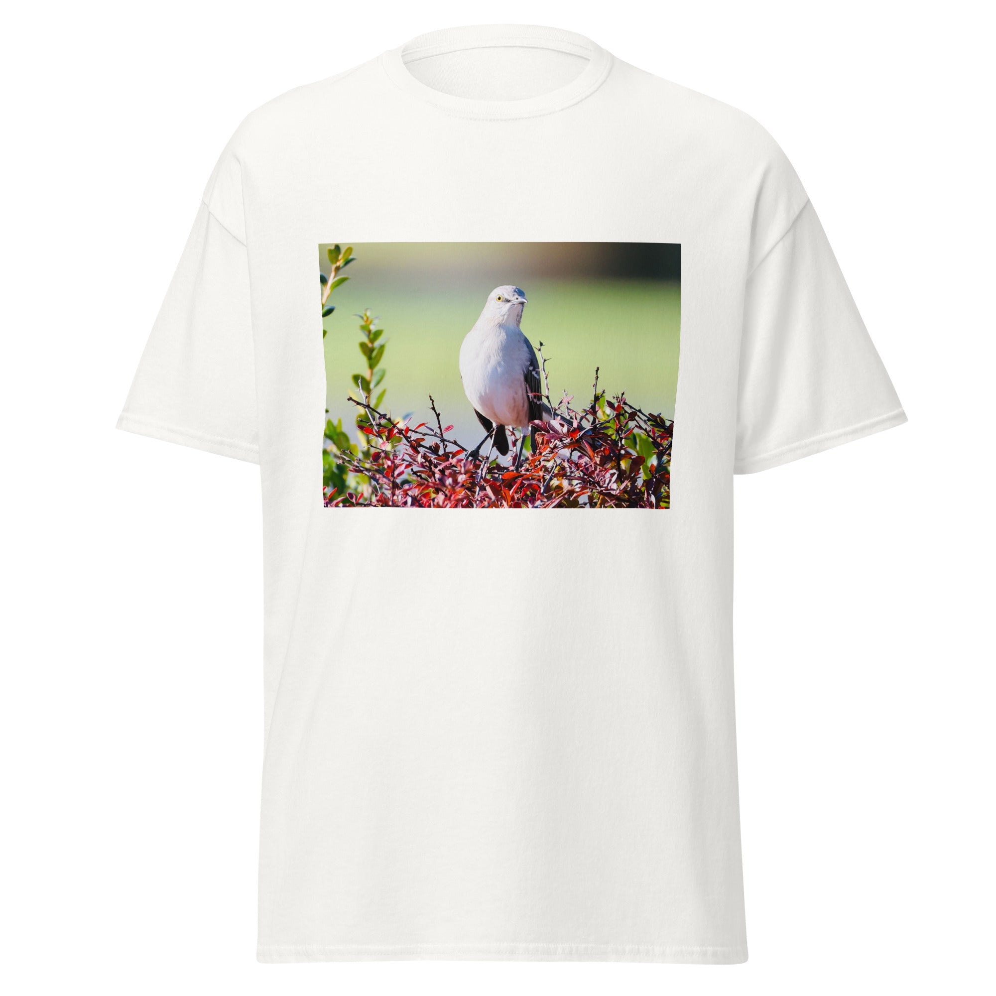 Apparel Collection - Nature By Poli