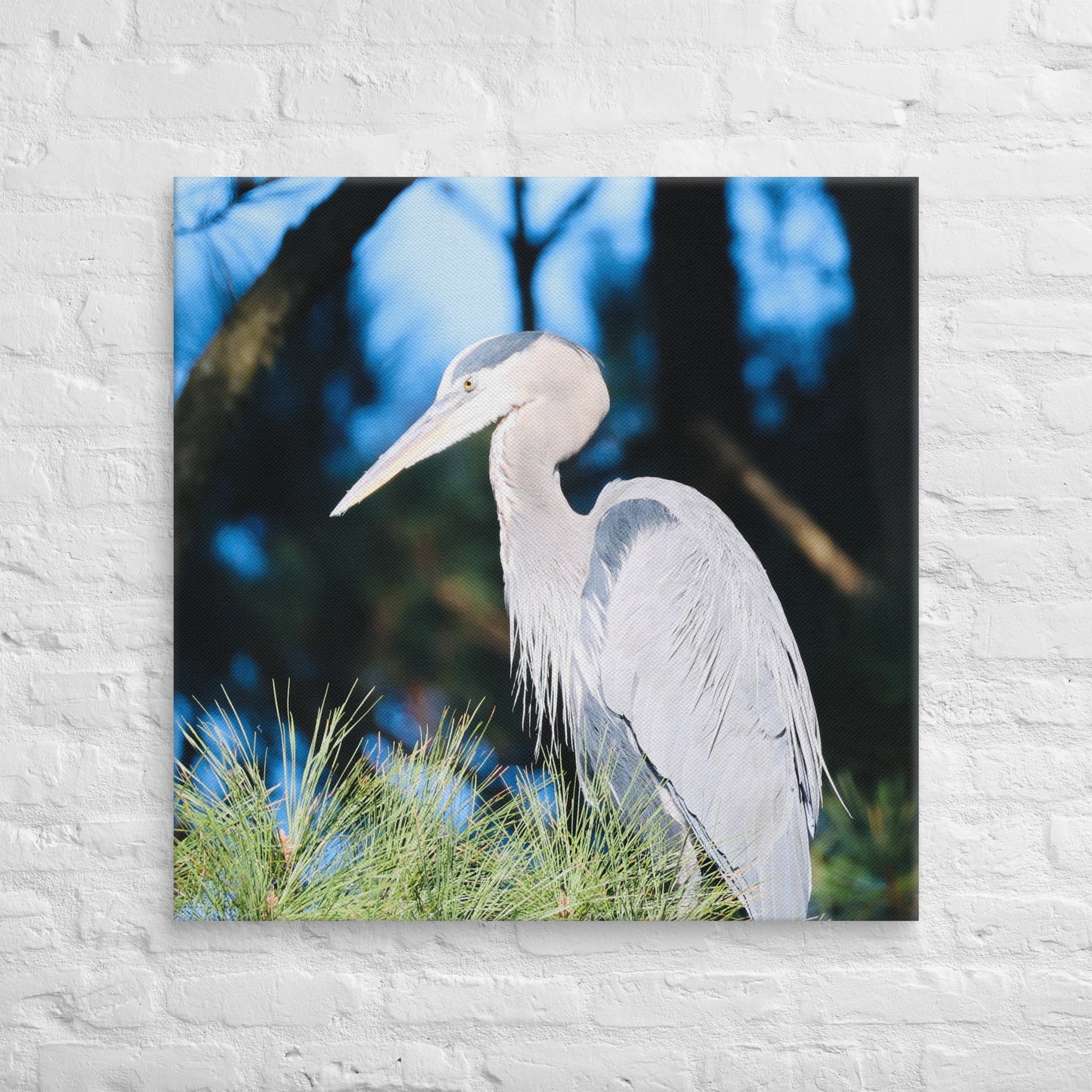 Canvas Great Blue Heron - Nature By Poli Canvas Great Blue HeronNature By Poli Nature By Poli 32″×32″