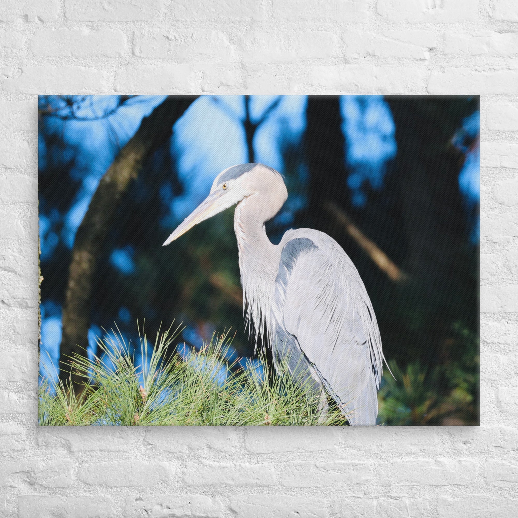 Canvas Great Blue Heron - Nature By Poli Canvas Great Blue HeronNature By Poli Nature By Poli 30″×40″