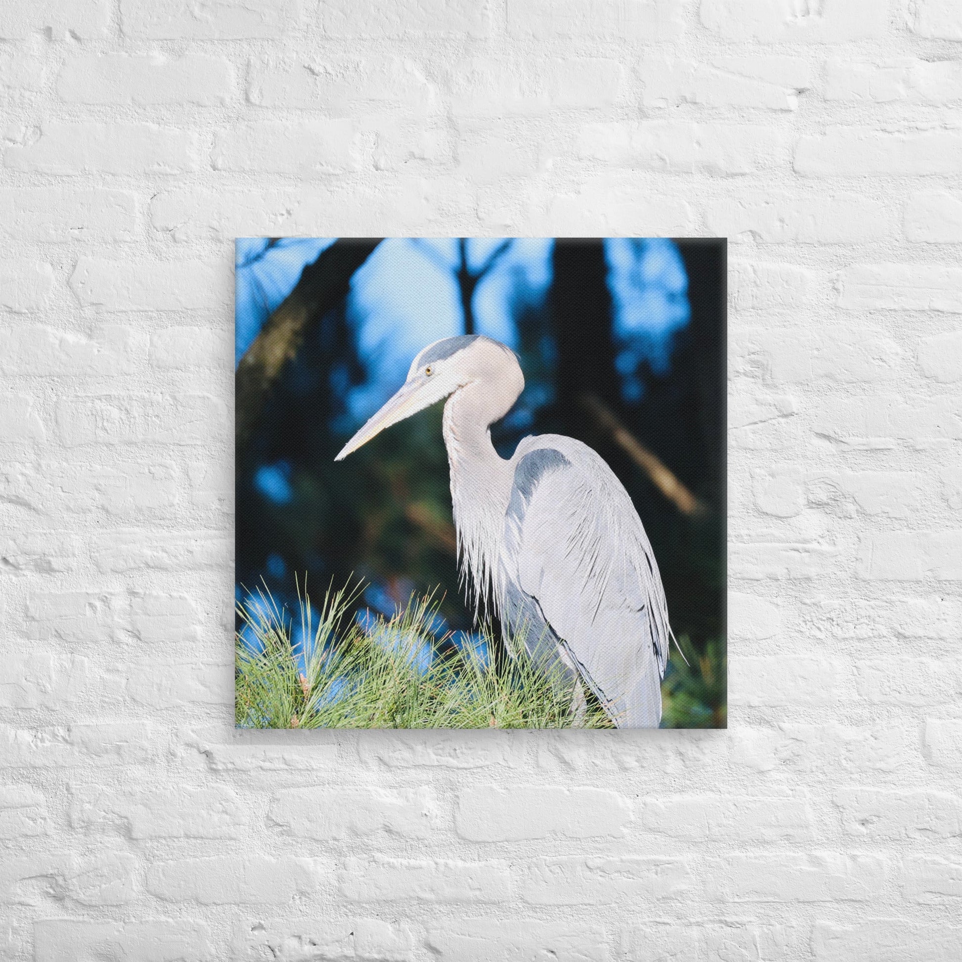 Canvas Great Blue Heron - Nature By Poli Canvas Great Blue HeronNature By Poli Nature By Poli 24″×24″