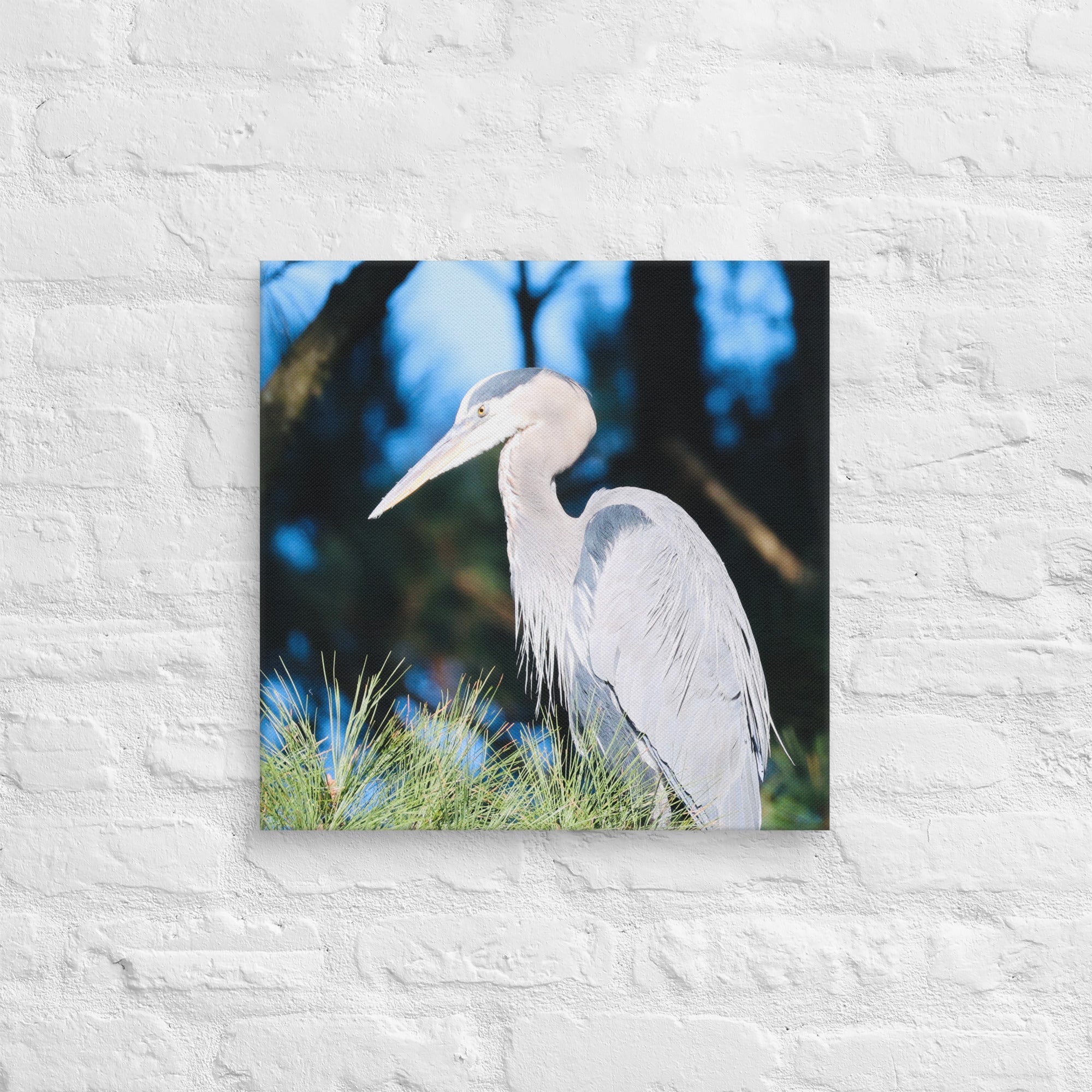 Canvas Great Blue Heron - Nature By Poli Canvas Great Blue HeronNature By Poli Nature By Poli 18″×18″