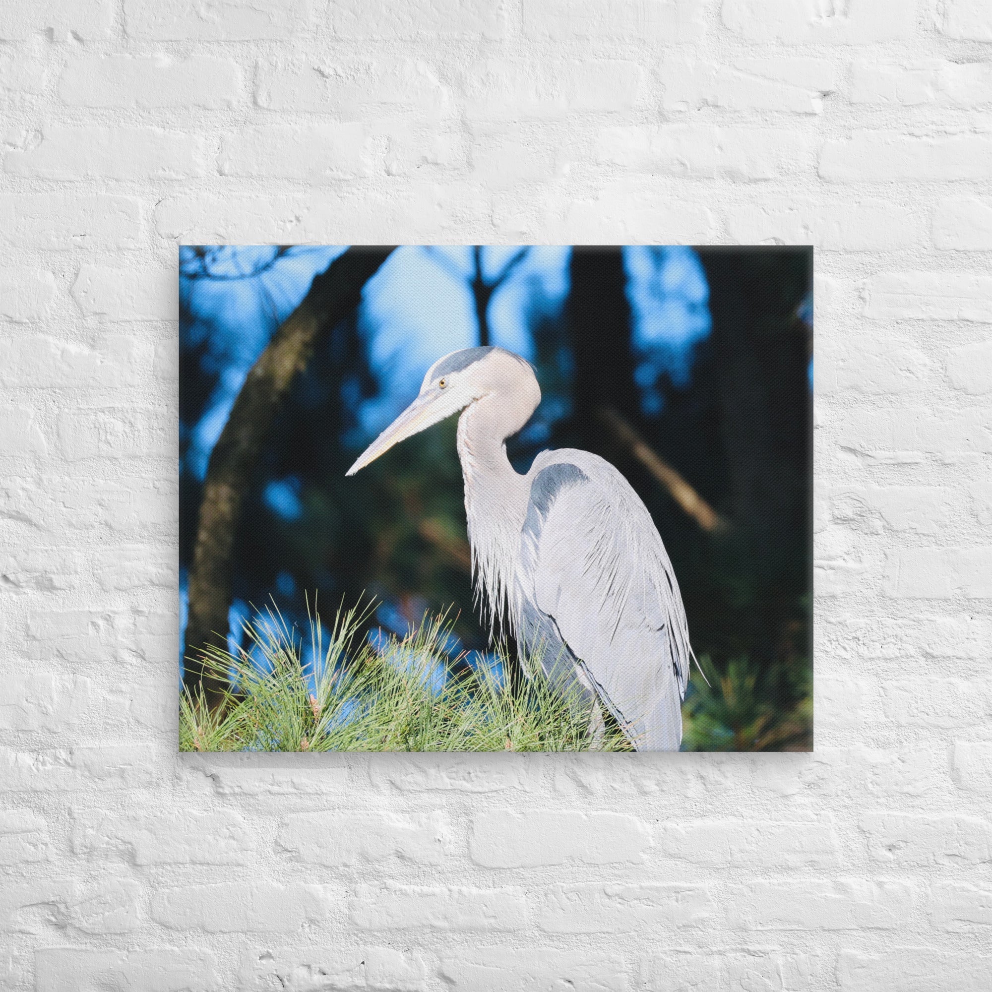 Canvas Great Blue Heron - Nature By Poli Canvas Great Blue HeronNature By Poli Nature By Poli 24″×30″