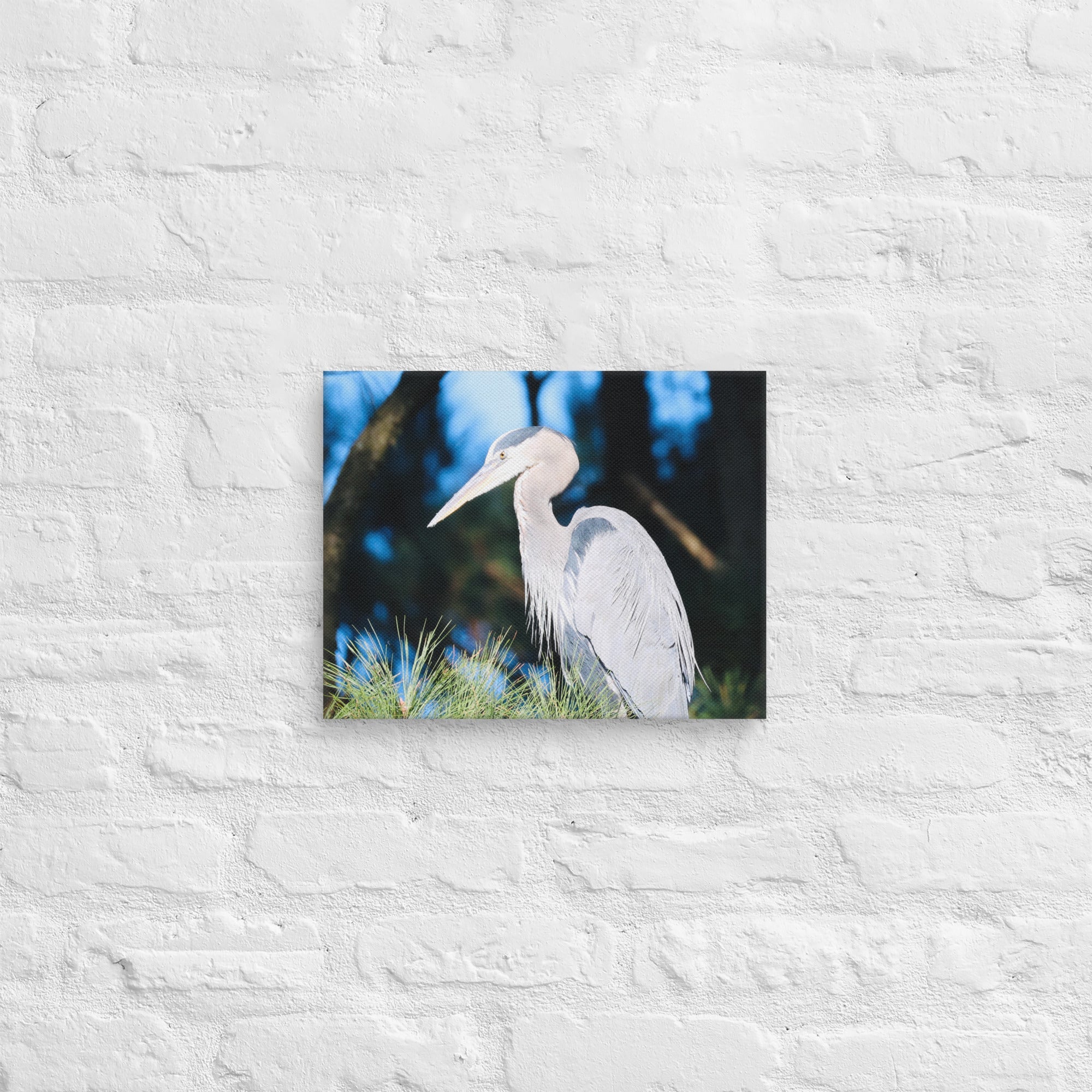 Canvas Great Blue Heron - Nature By Poli Canvas Great Blue HeronNature By Poli Nature By Poli 11″×14″