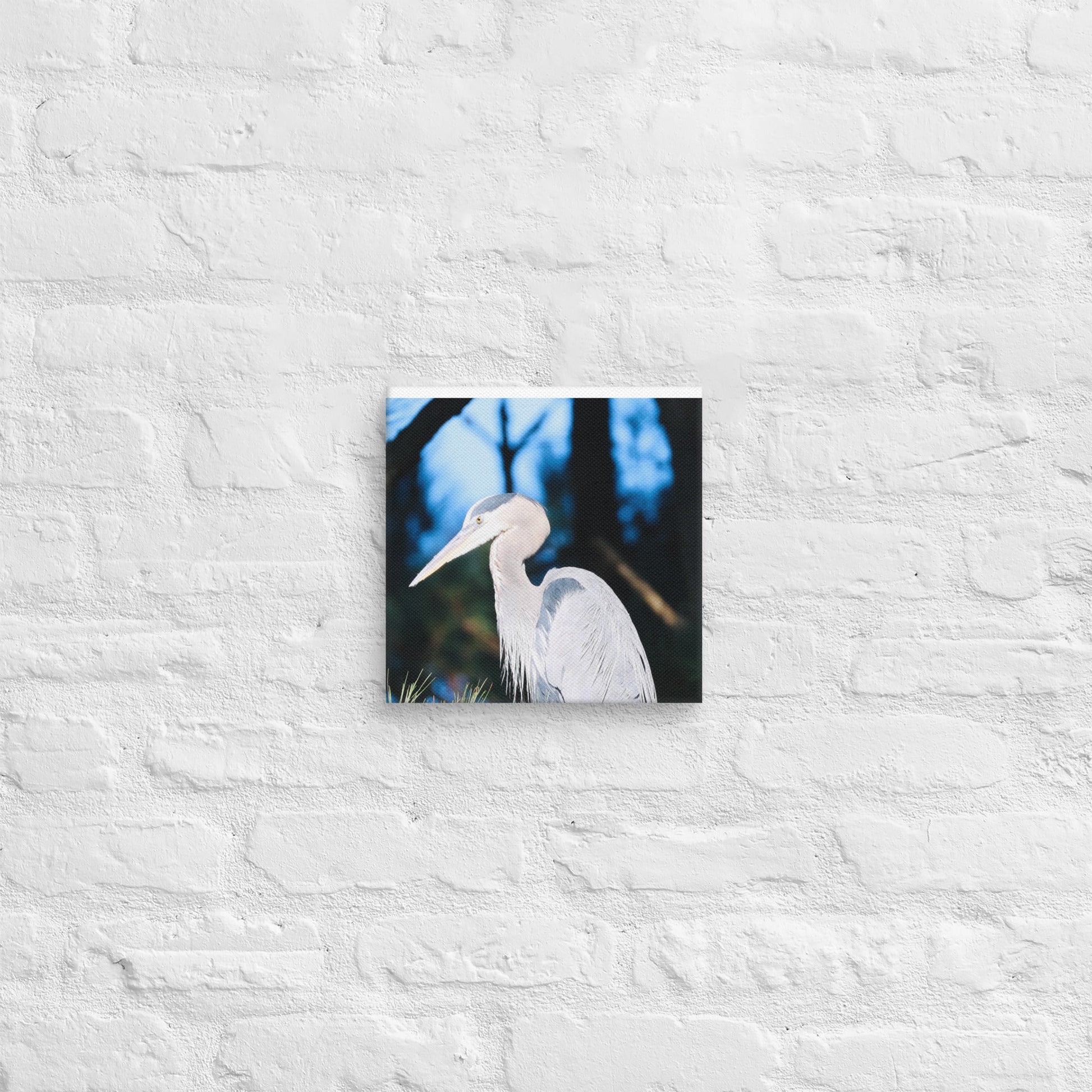 Canvas Great Blue Heron - Nature By Poli Canvas Great Blue HeronNature By Poli Nature By Poli 10″×10″
