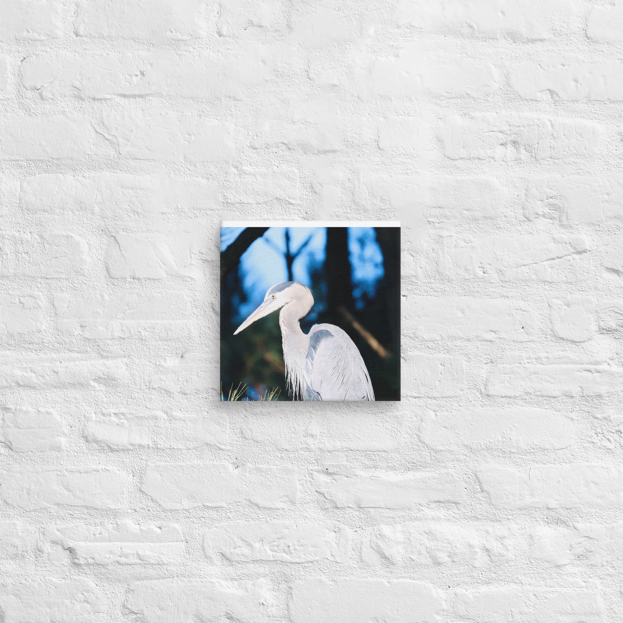Canvas Great Blue Heron - Nature By Poli Canvas Great Blue HeronNature By Poli Nature By Poli 10″×10″