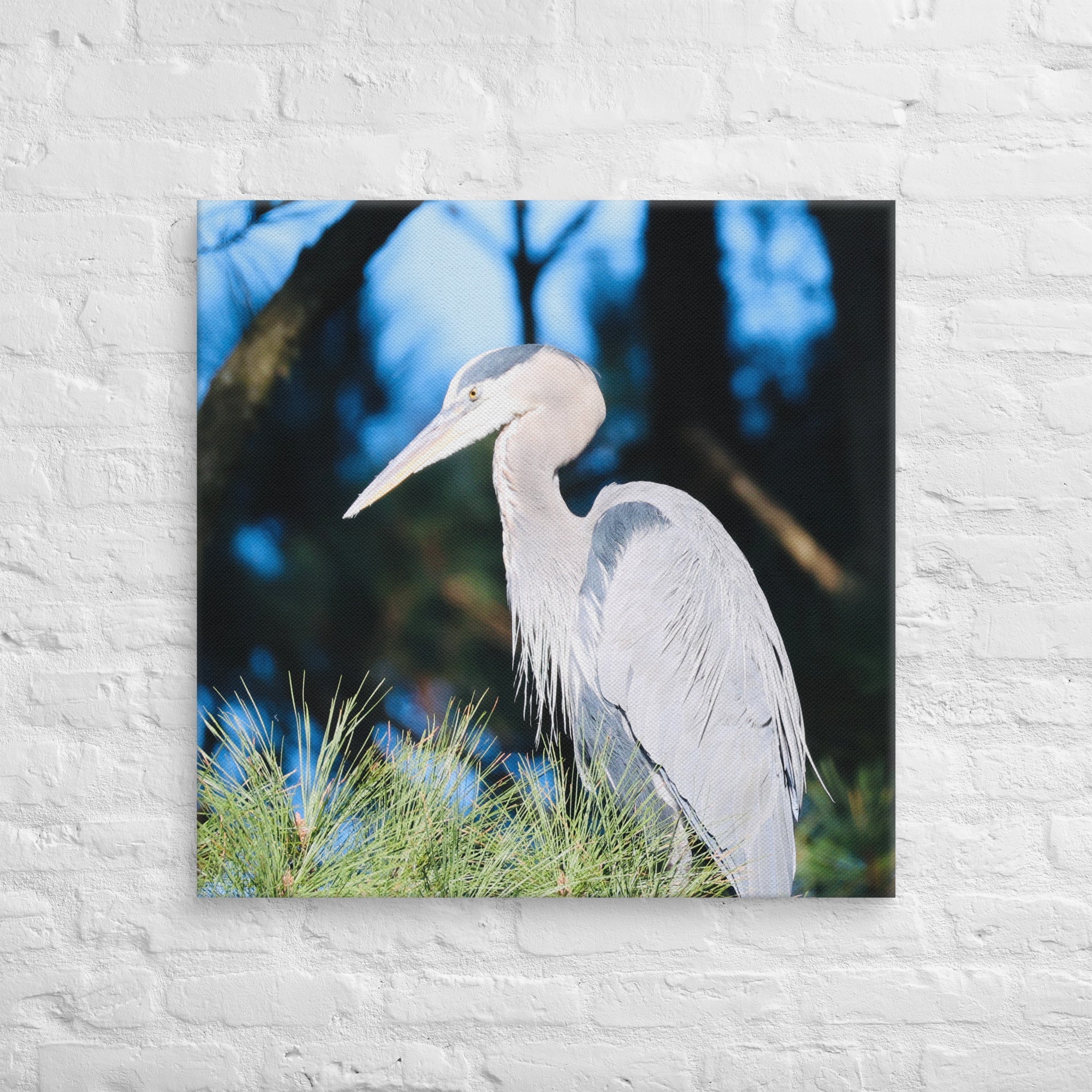 Canvas Great Blue Heron - Nature By Poli Canvas Great Blue HeronNature By Poli Nature By Poli 30″×30″