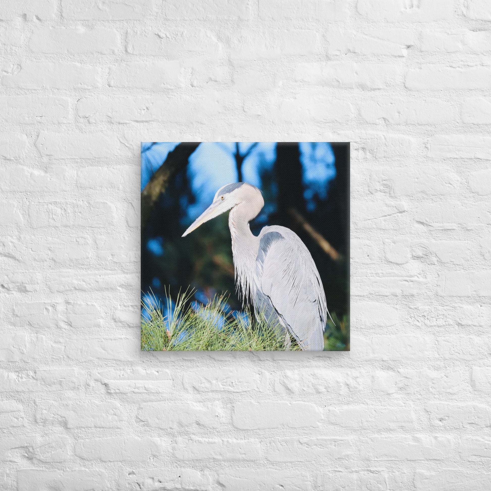 Canvas Great Blue Heron - Nature By Poli Canvas Great Blue HeronNature By Poli Nature By Poli 20″×20″
