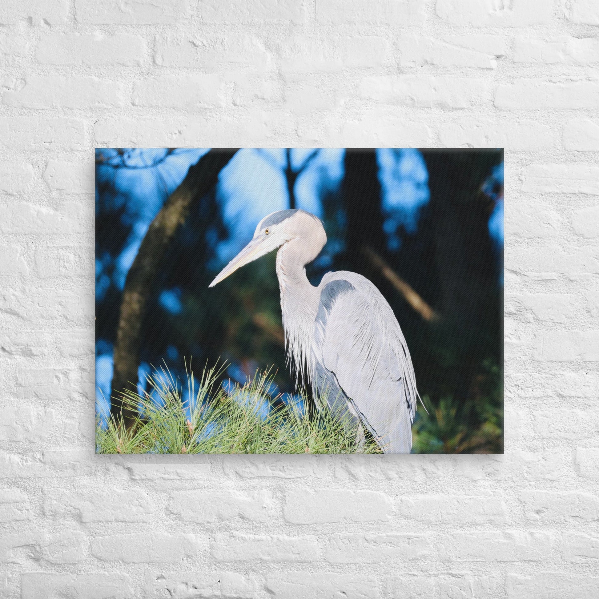 Canvas Great Blue Heron - Nature By Poli Canvas Great Blue HeronNature By Poli Nature By Poli 24″×32″
