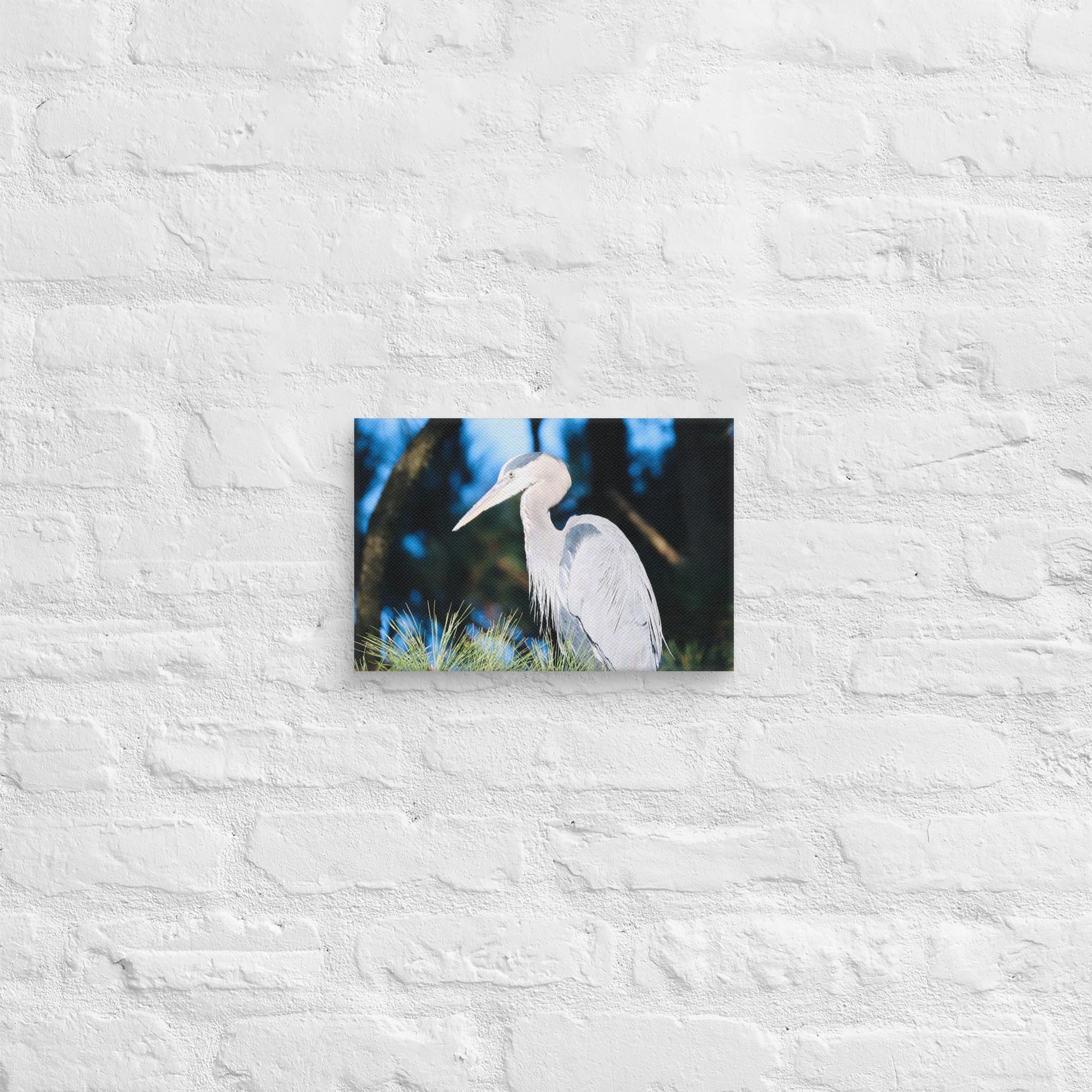 Canvas Great Blue Heron - Nature By Poli Canvas Great Blue HeronNature By Poli Nature By Poli 8″×12″