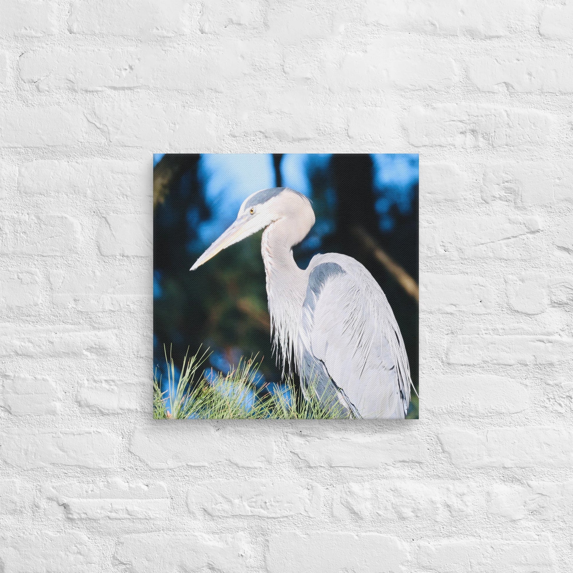Canvas Great Blue Heron - Nature By Poli Canvas Great Blue HeronNature By Poli Nature By Poli 16″×16″