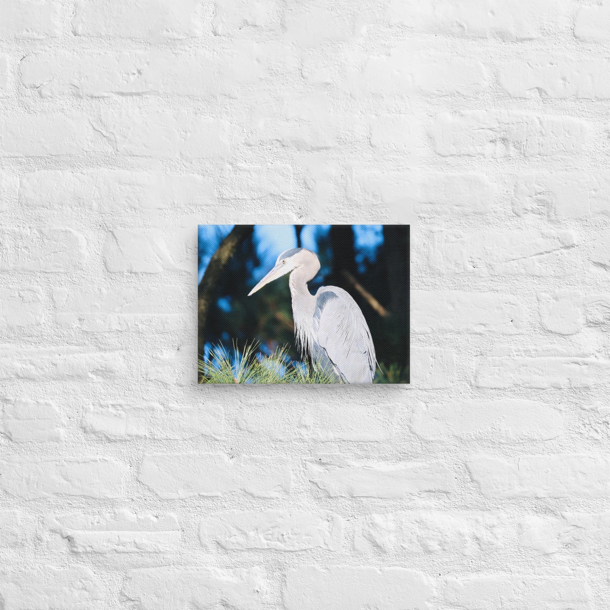 Canvas Great Blue Heron - Nature By Poli Canvas Great Blue HeronNature By Poli Nature By Poli 9″×12″