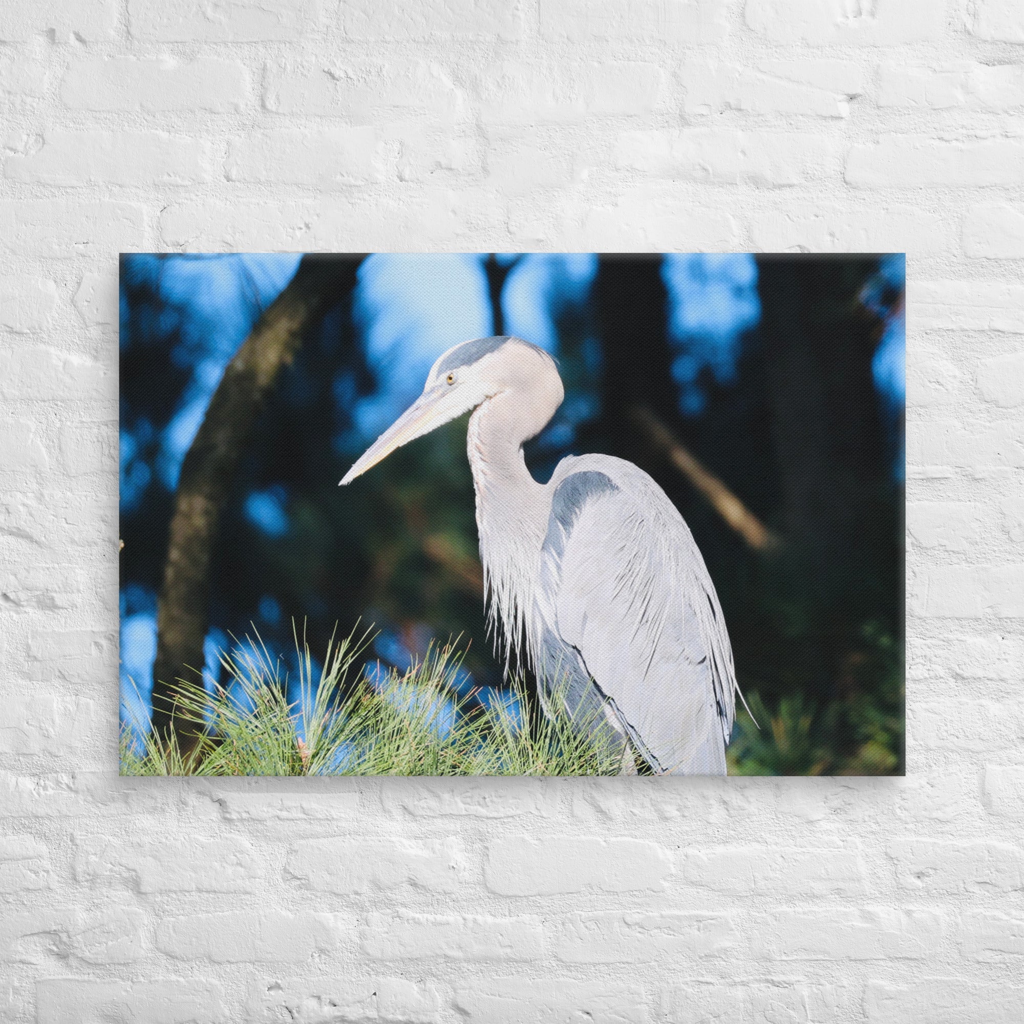 Canvas Great Blue Heron - Nature By Poli Canvas Great Blue HeronNature By Poli Nature By Poli 24″×36″