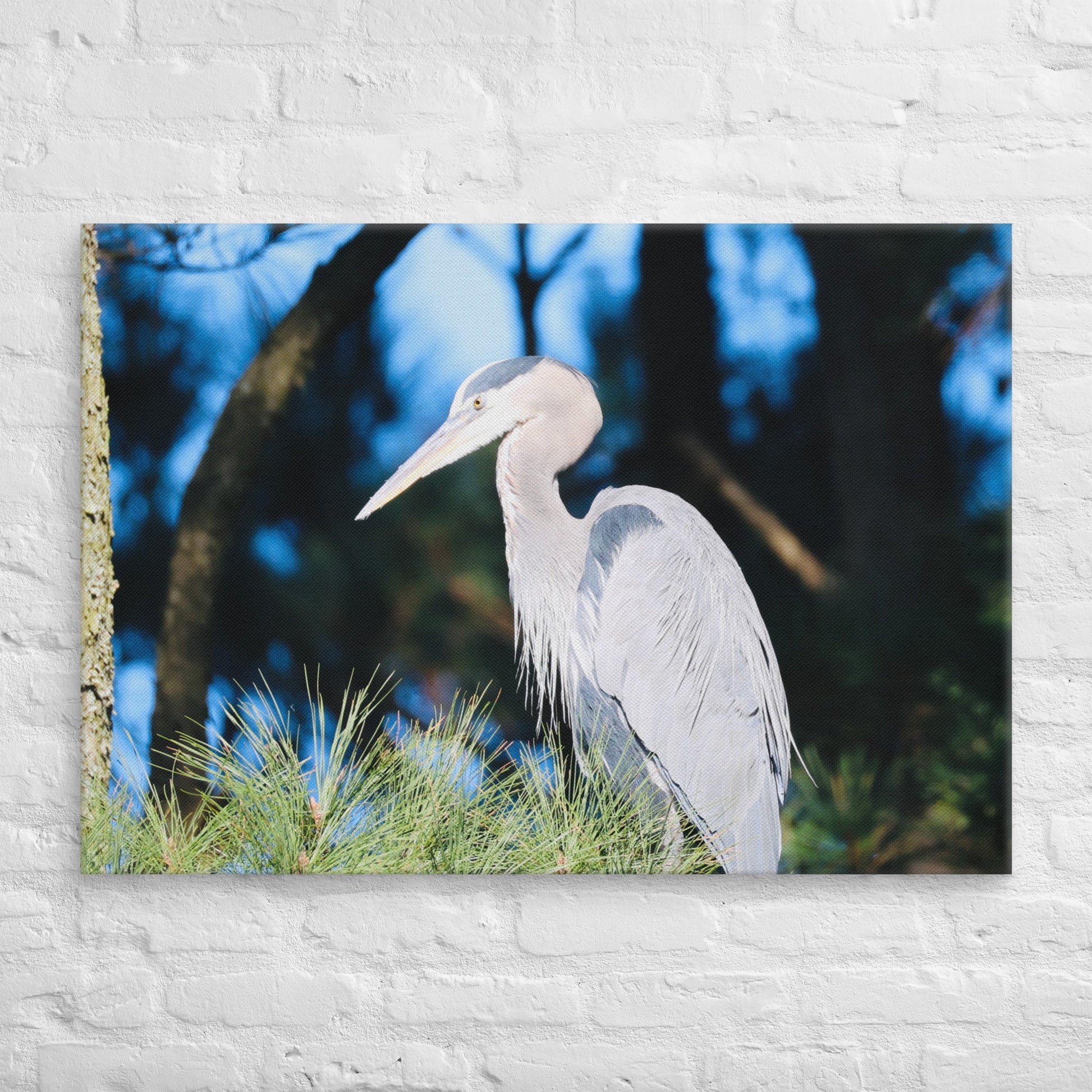 Canvas Great Blue Heron - Nature By Poli Canvas Great Blue HeronNature By Poli Nature By Poli 28″×40″