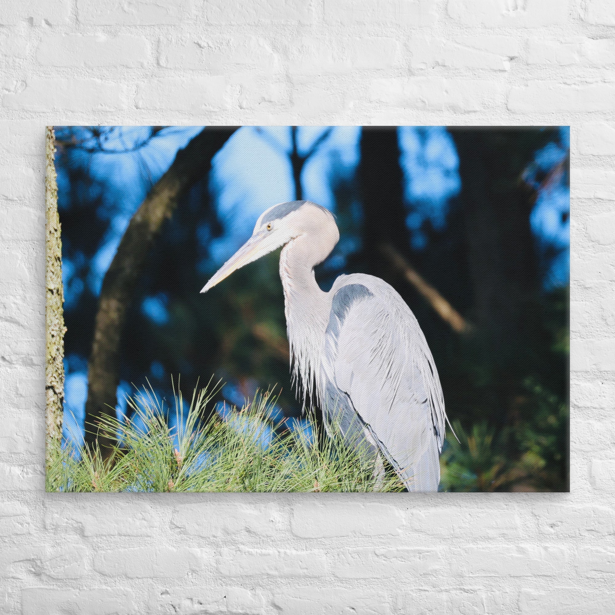 Canvas Great Blue Heron - Nature By Poli Canvas Great Blue HeronNature By Poli Nature By Poli 28″×40″