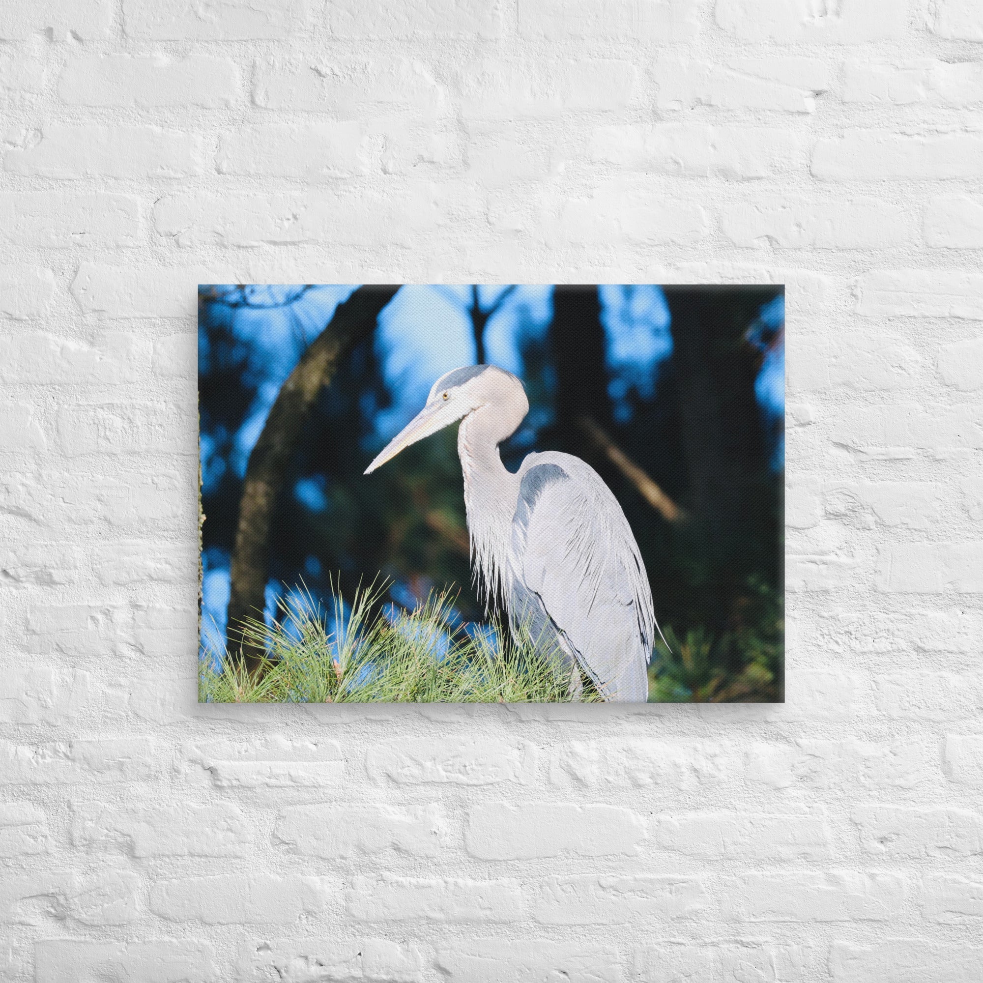 Canvas Great Blue Heron - Nature By Poli Canvas Great Blue HeronNature By Poli Nature By Poli 20″×28″
