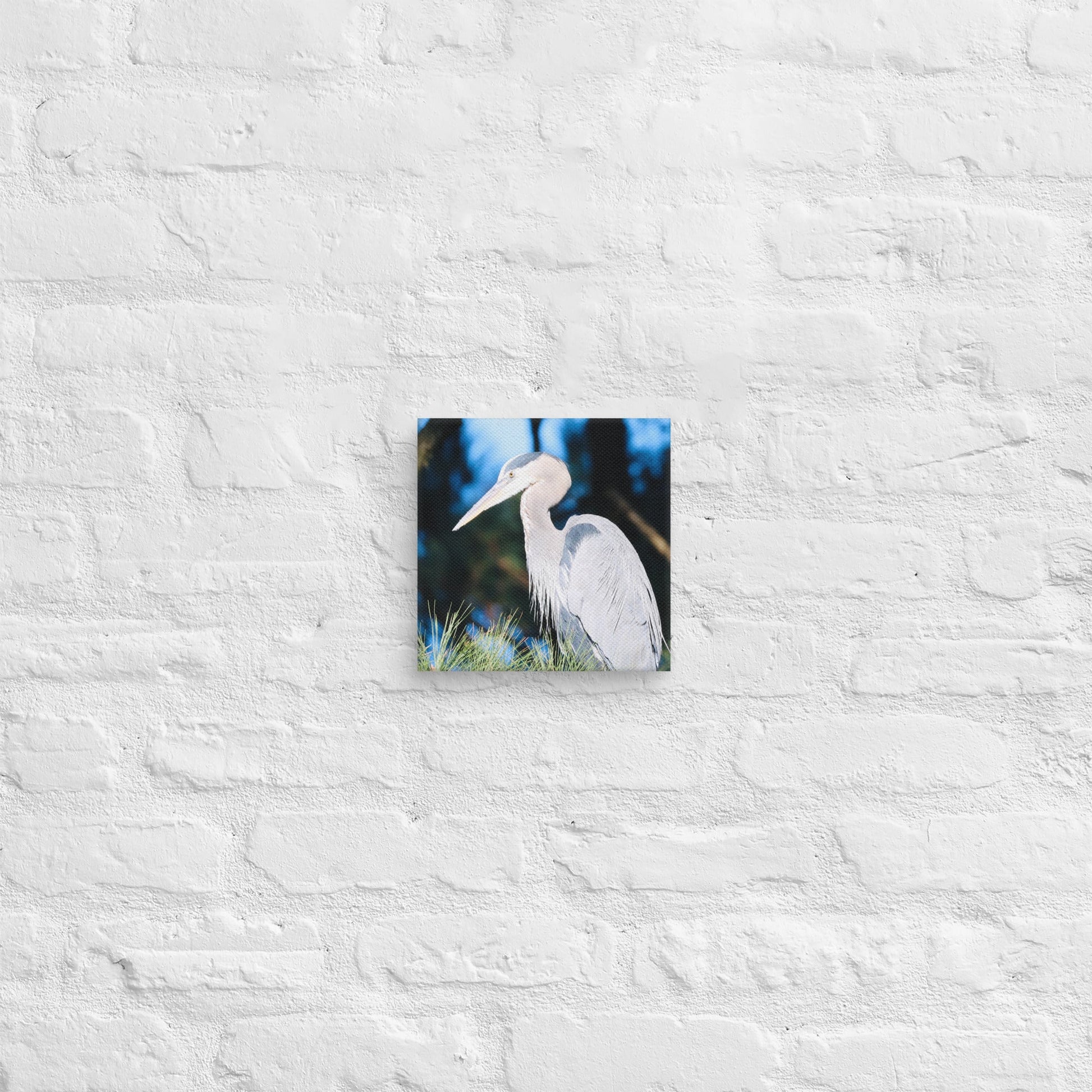 Canvas Great Blue Heron - Nature By Poli Canvas Great Blue HeronNature By Poli Nature By Poli 8″×8″