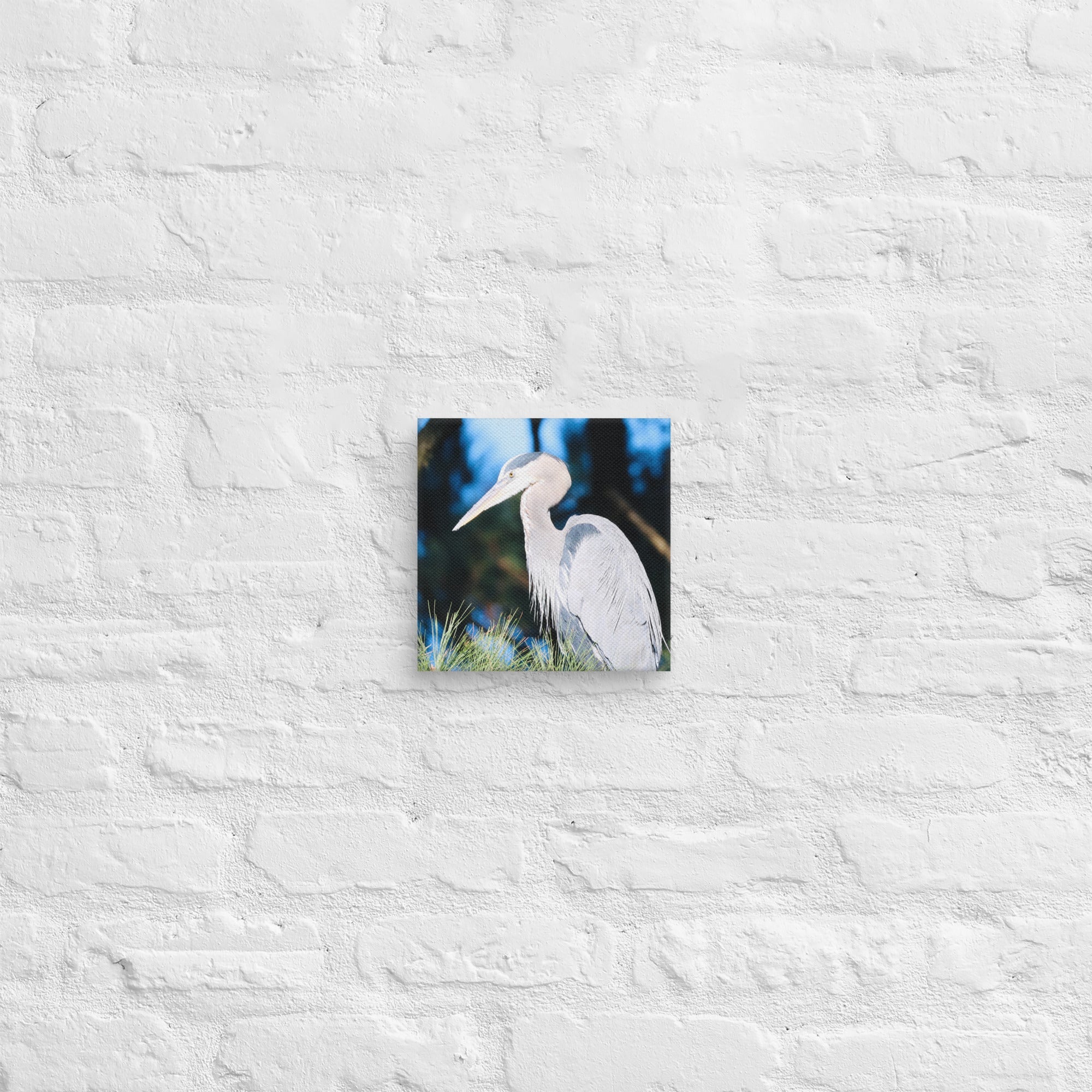 Canvas Great Blue Heron - Nature By Poli Canvas Great Blue HeronNature By Poli Nature By Poli 8″×8″