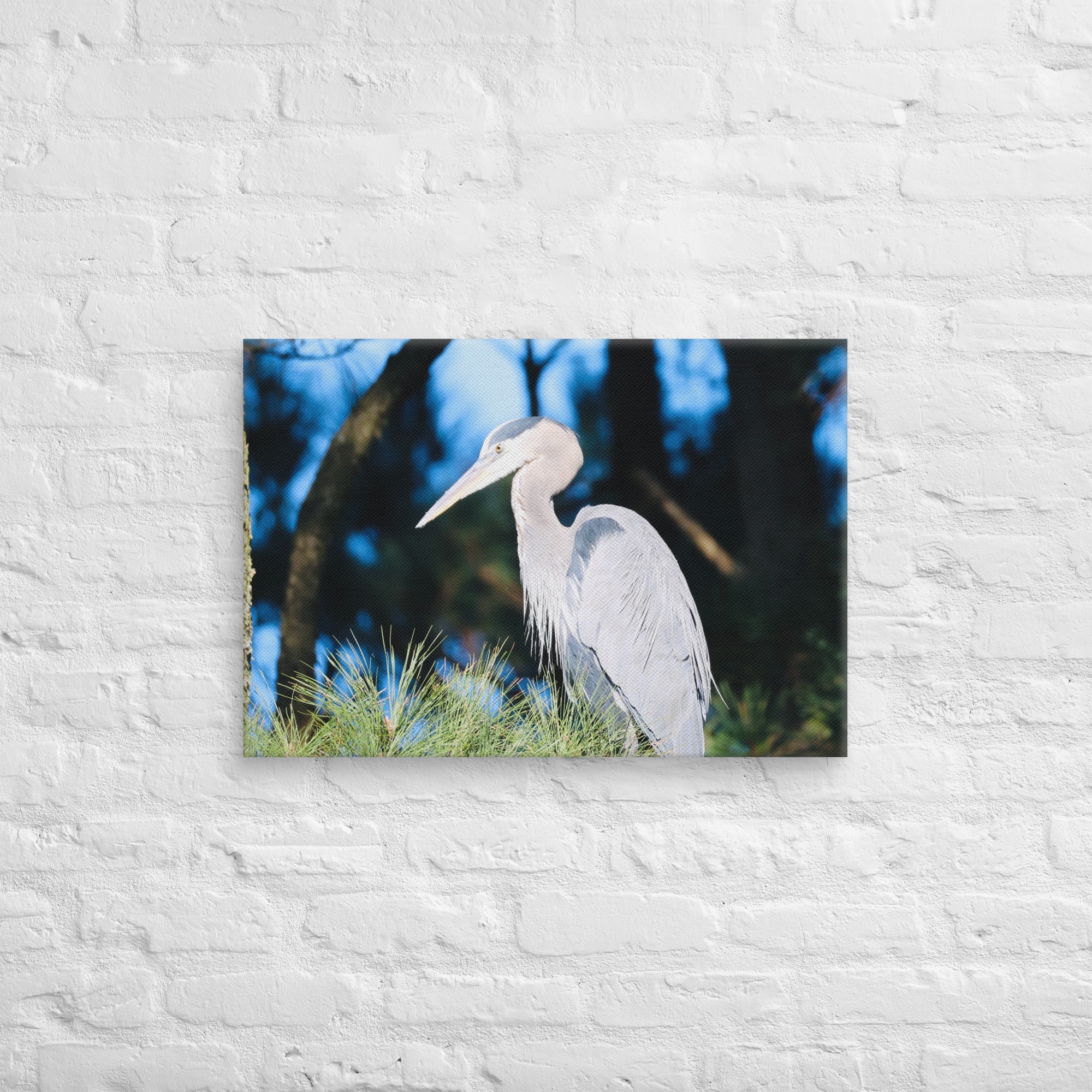 Canvas Great Blue Heron - Nature By Poli Canvas Great Blue HeronNature By Poli Nature By Poli 18″×26″