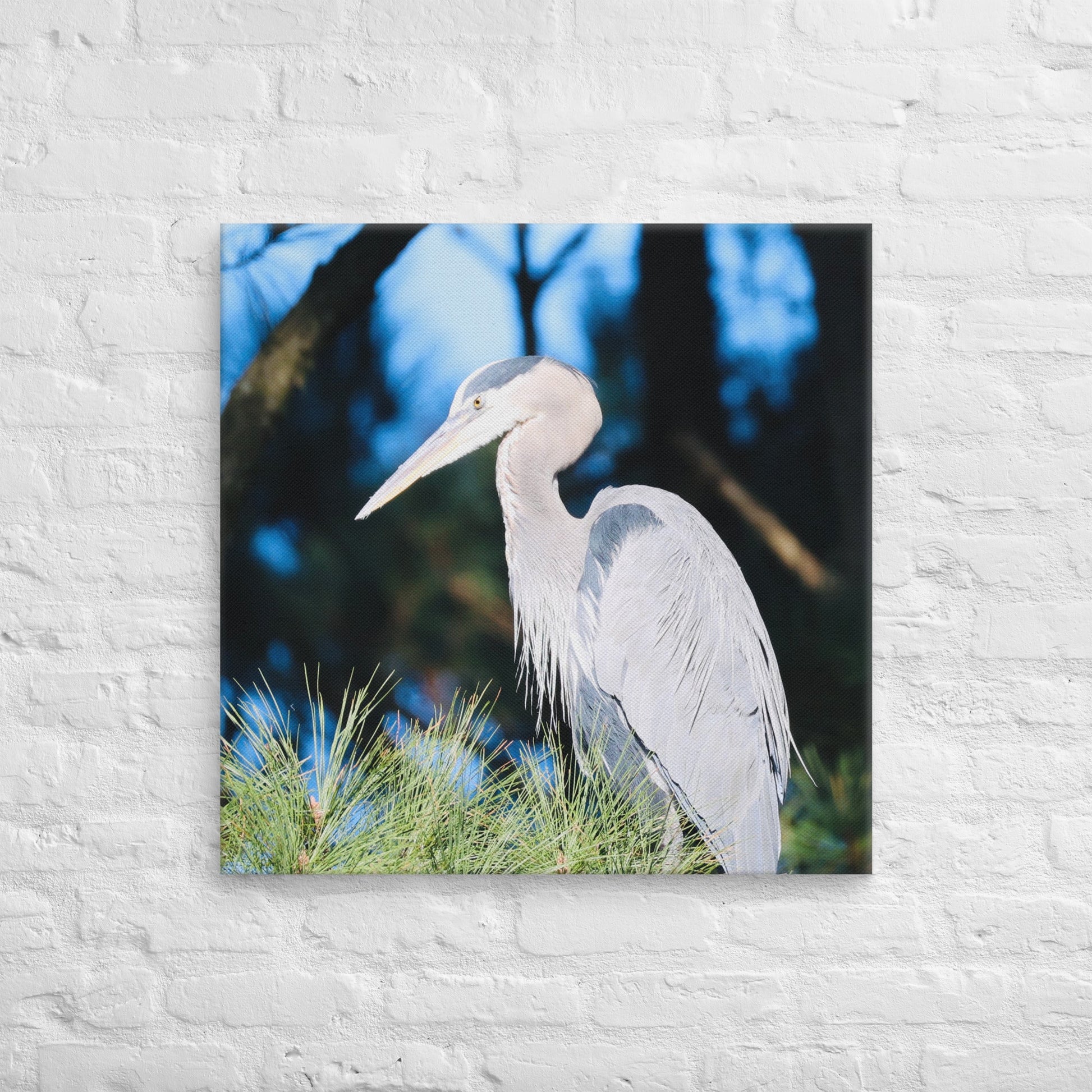 Canvas Great Blue Heron - Nature By Poli Canvas Great Blue HeronNature By Poli Nature By Poli 28″×28″
