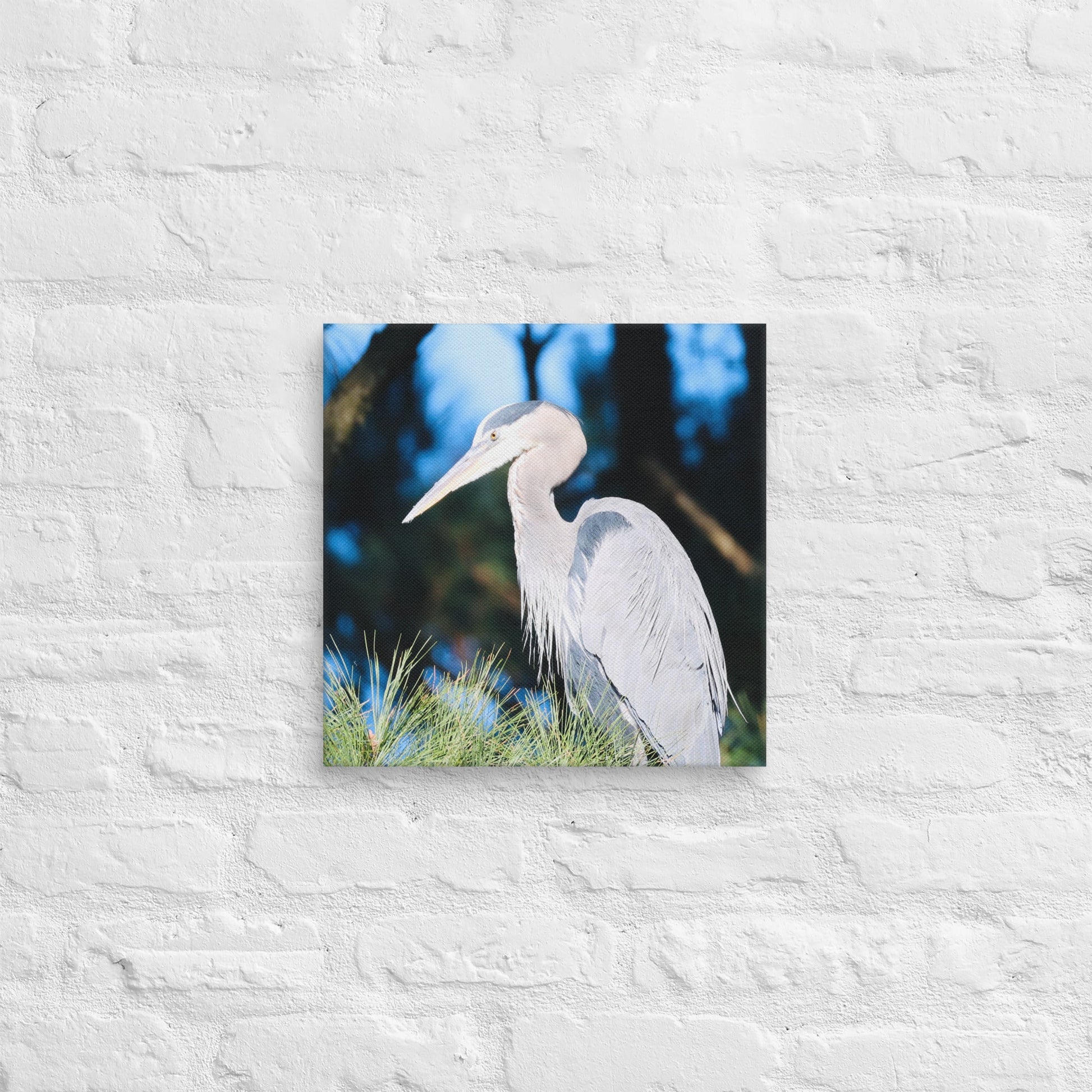 Canvas Great Blue Heron - Nature By Poli Canvas Great Blue HeronNature By Poli Nature By Poli 14″×14″