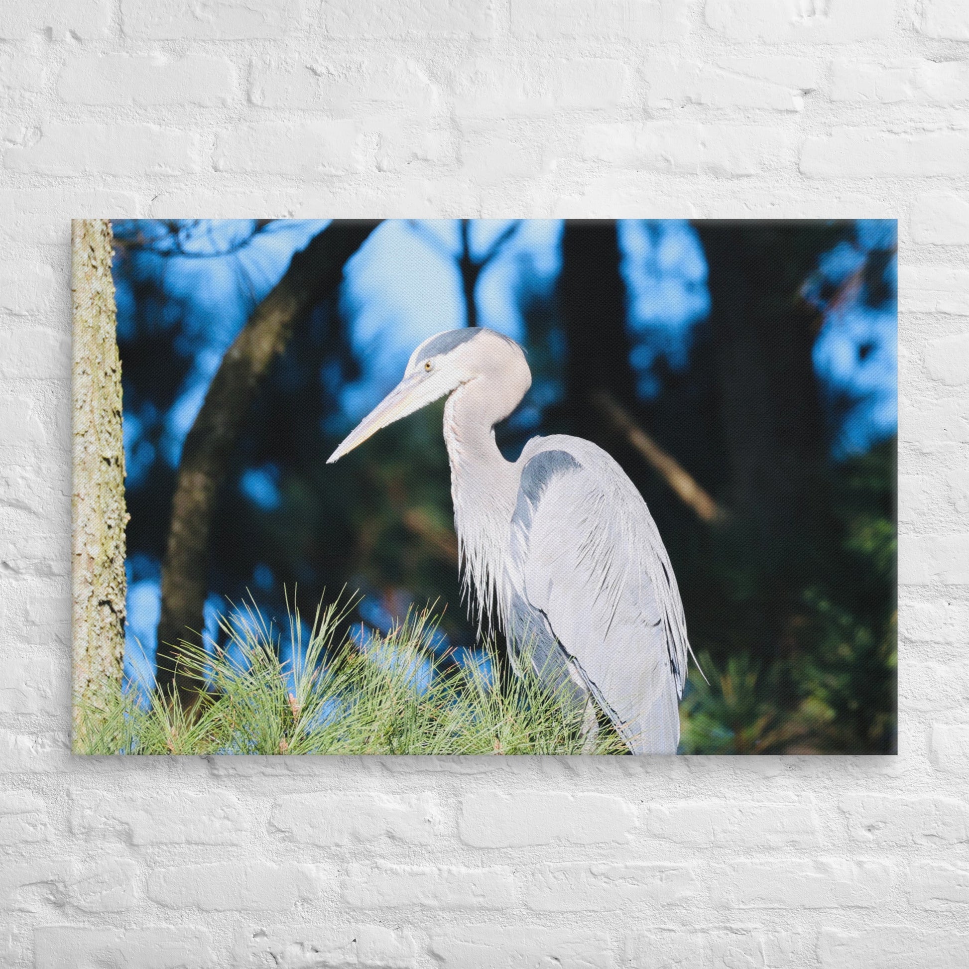 Canvas Great Blue Heron - Nature By Poli Canvas Great Blue HeronNature By Poli Nature By Poli 26″×40″
