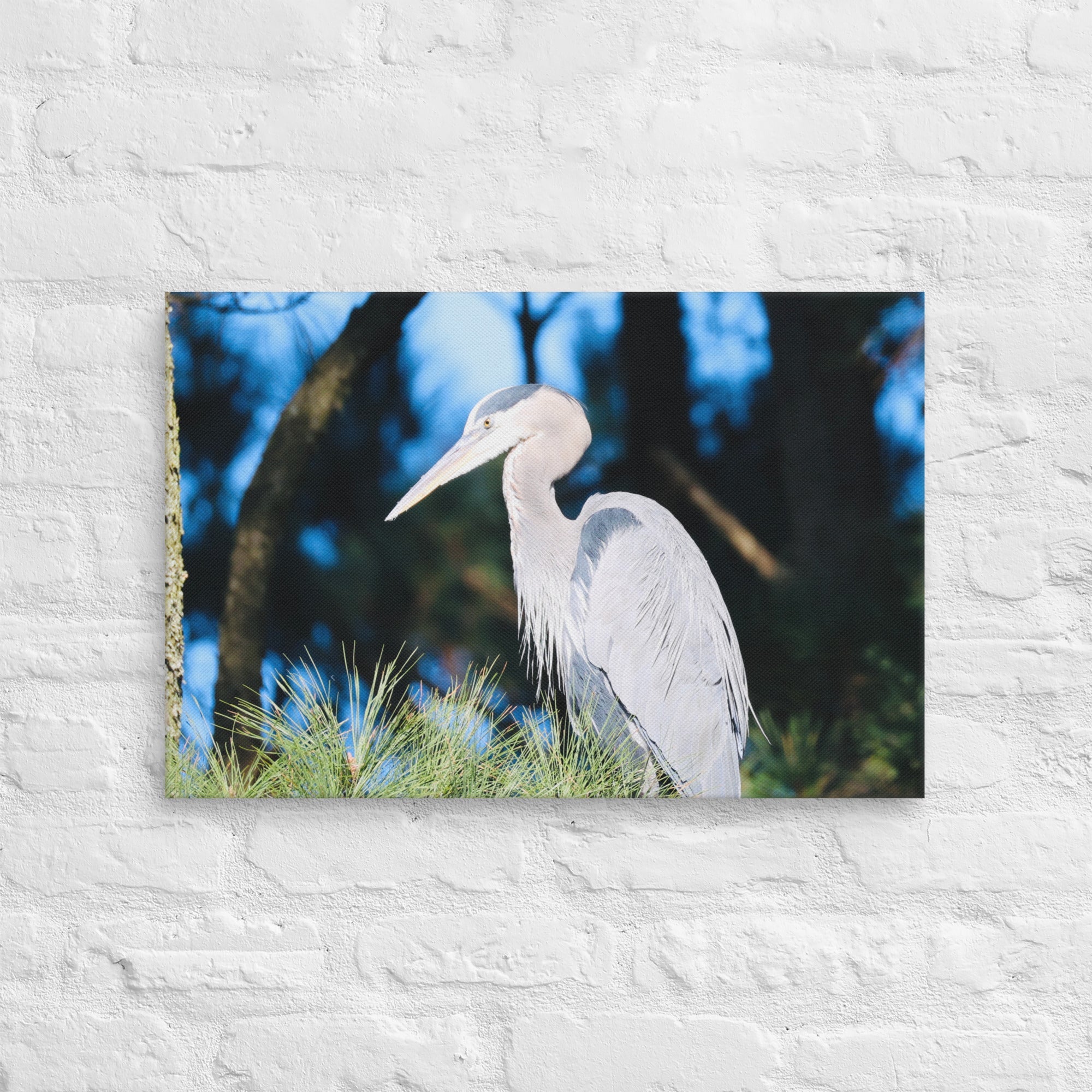 Canvas Great Blue Heron - Nature By Poli Canvas Great Blue HeronNature By Poli Nature By Poli 16″×24″