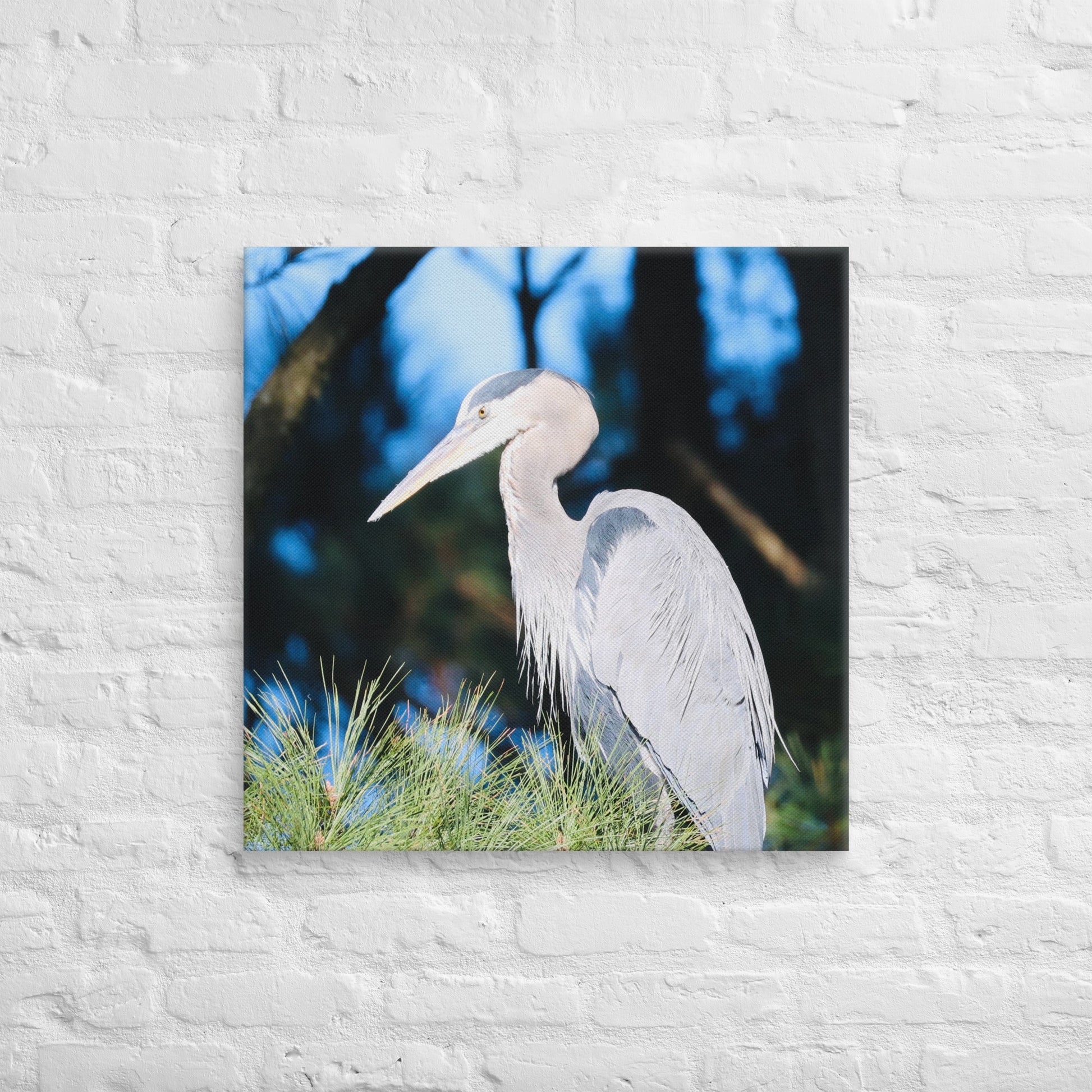 Canvas Great Blue Heron - Nature By Poli Canvas Great Blue HeronNature By Poli Nature By Poli 26″×26″