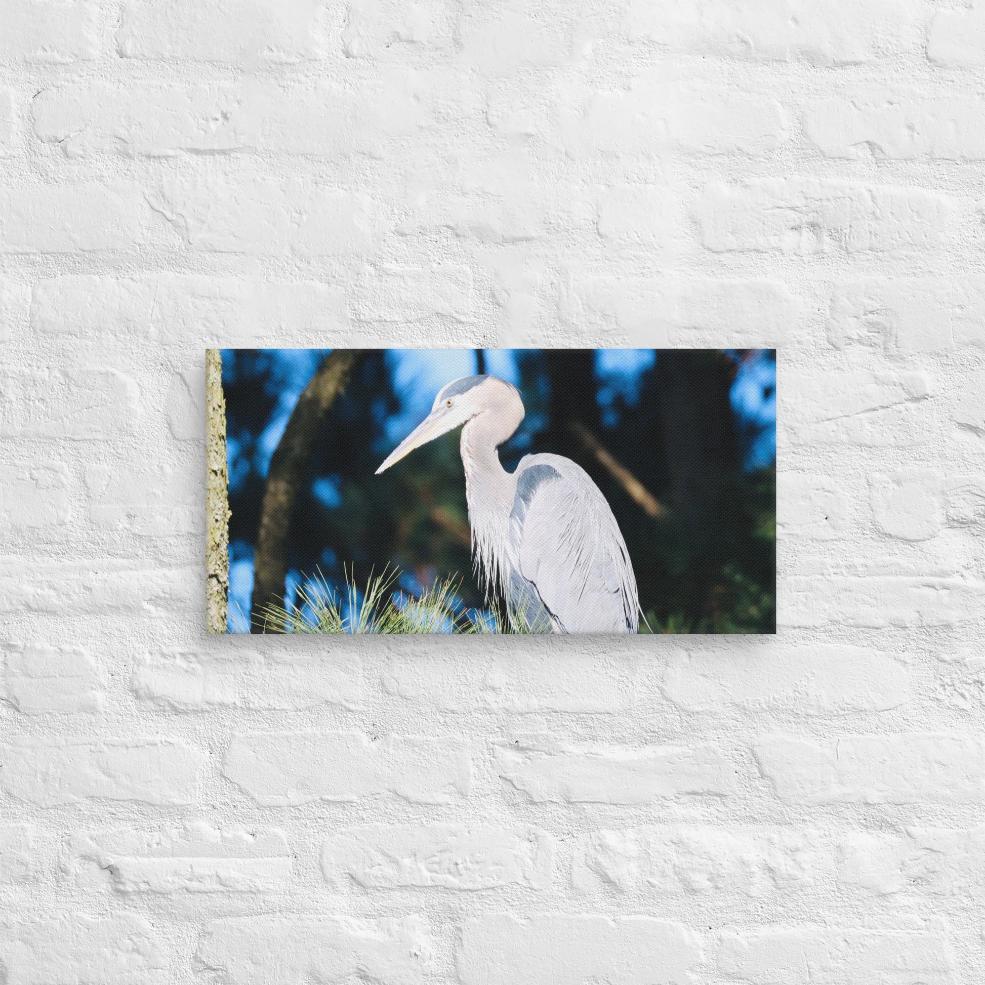 Canvas Great Blue Heron - Nature By Poli Canvas Great Blue HeronNature By Poli Nature By Poli 10″×20″