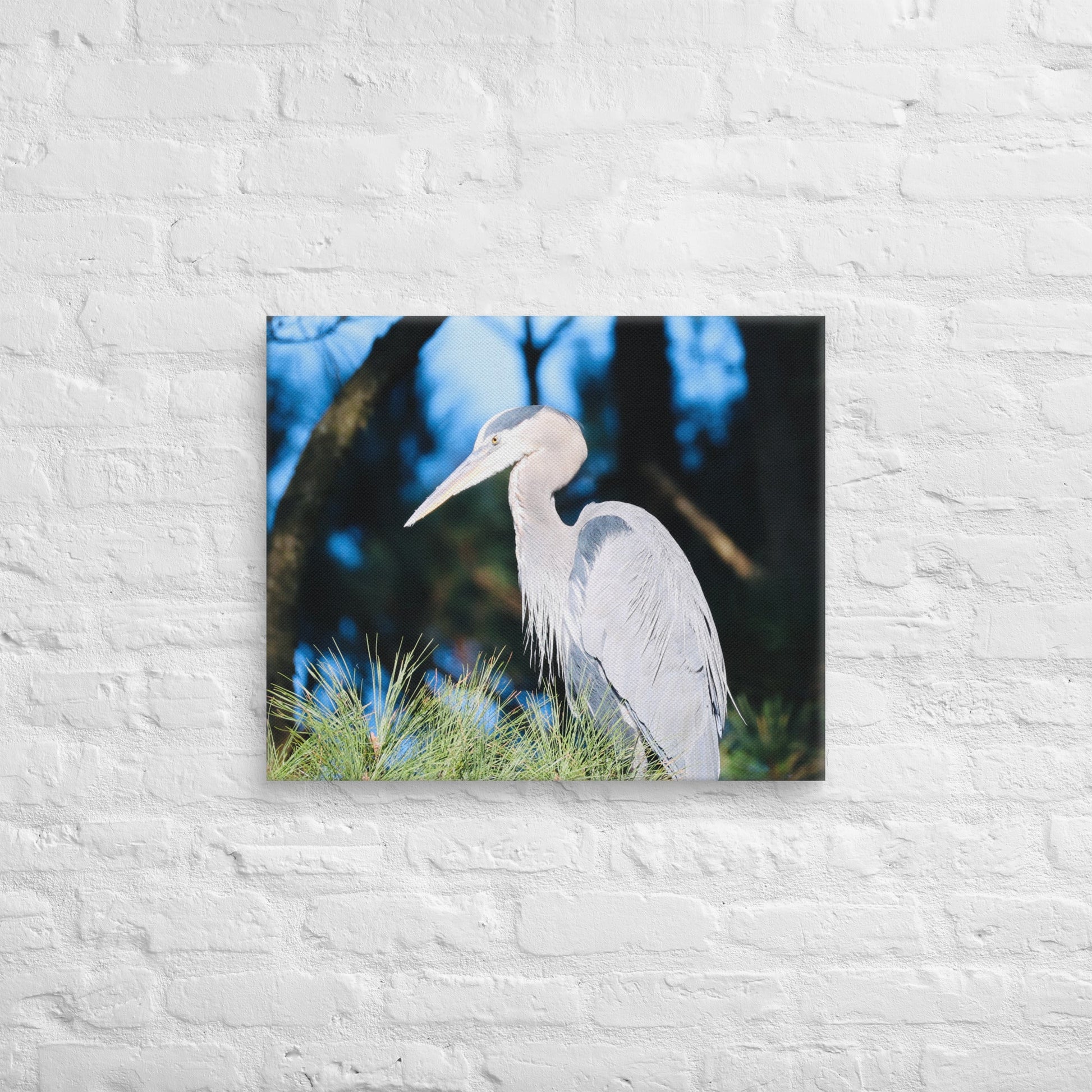 Canvas Great Blue Heron - Nature By Poli Canvas Great Blue HeronNature By Poli Nature By Poli 20″×24″