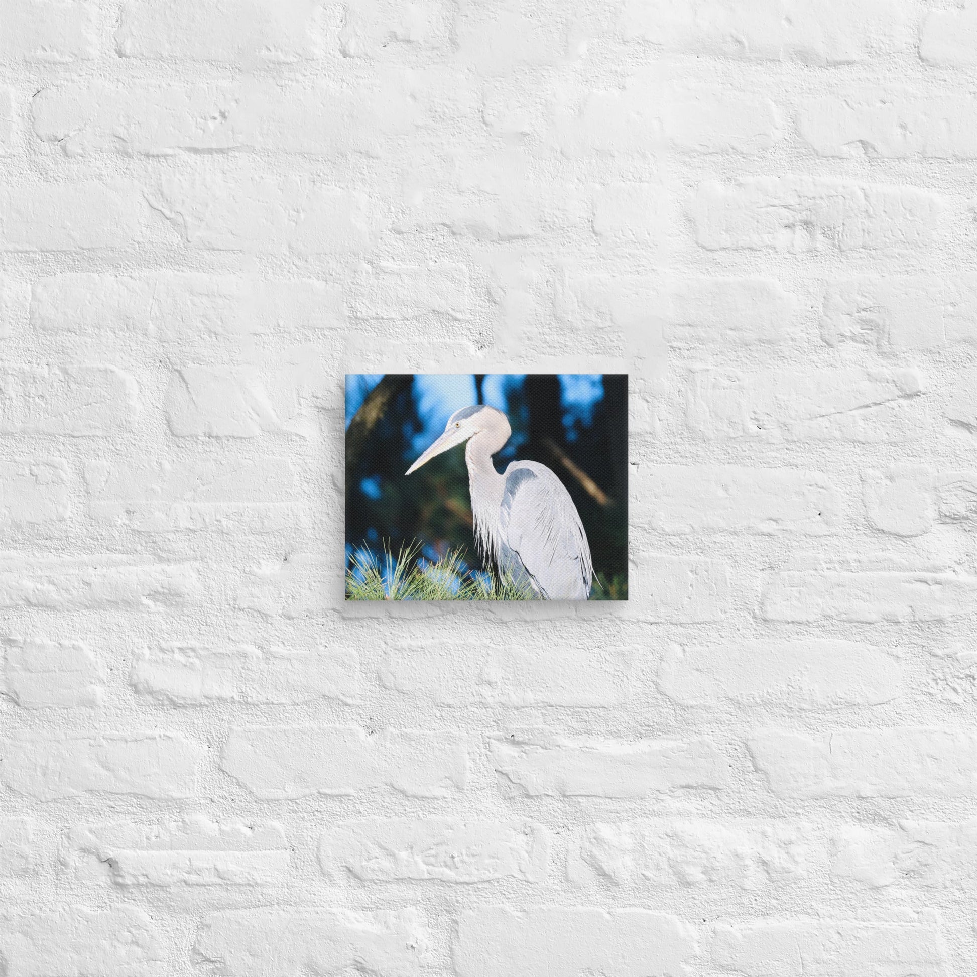 Canvas Great Blue Heron - Nature By Poli Canvas Great Blue HeronNature By Poli Nature By Poli 8″×10″