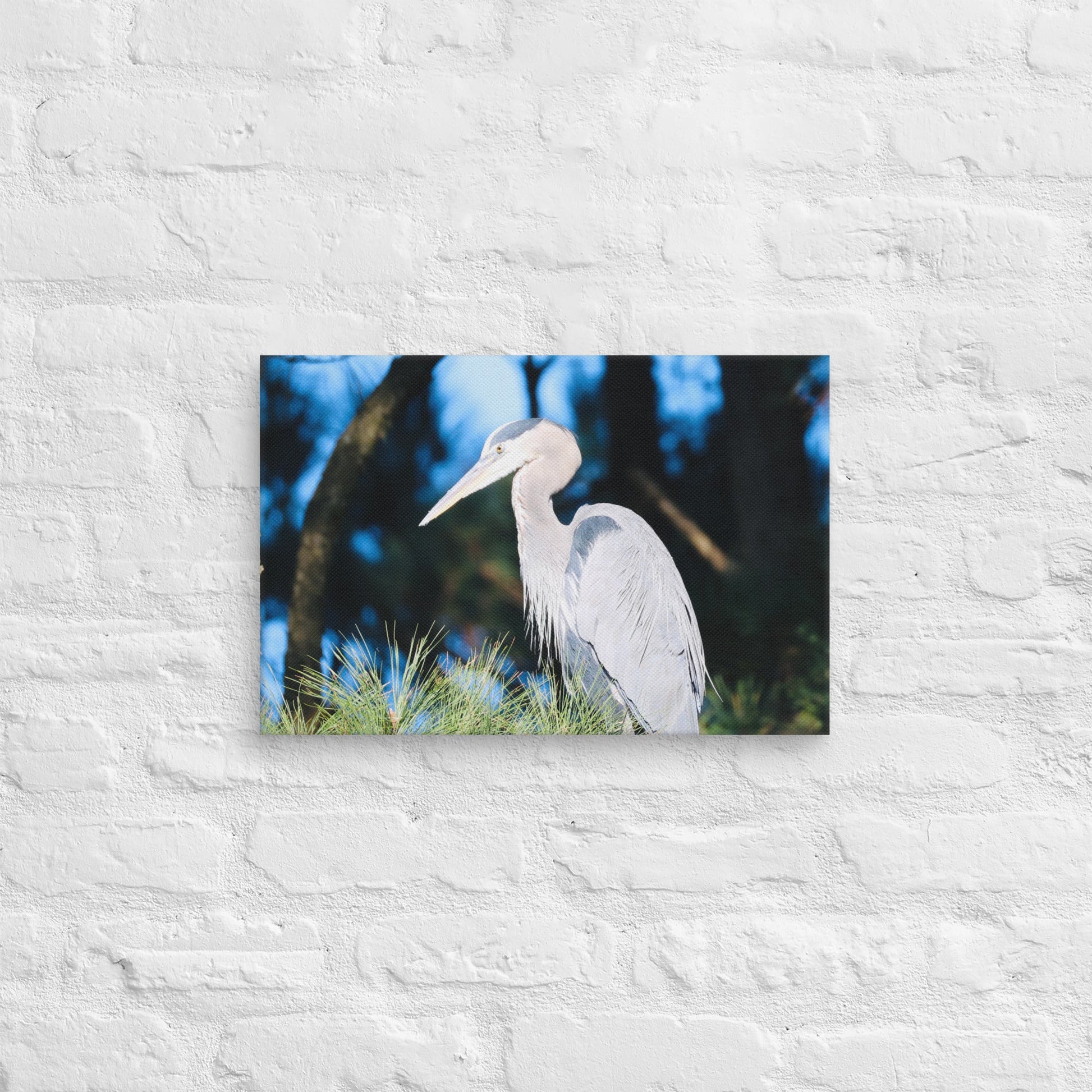 Canvas Great Blue Heron - Nature By Poli Canvas Great Blue HeronNature By Poli Nature By Poli 12″×18″