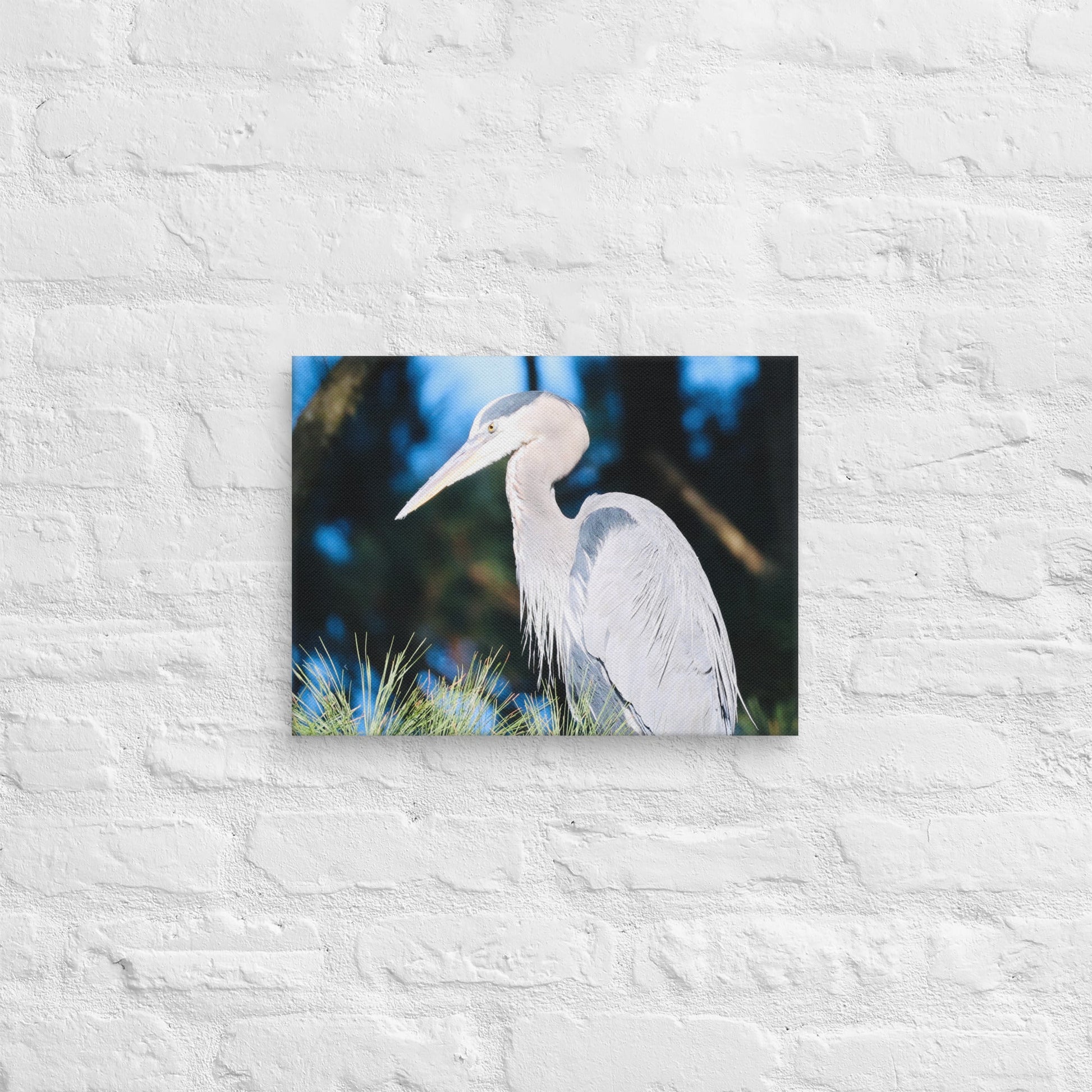 Canvas Great Blue Heron - Nature By Poli Canvas Great Blue HeronNature By Poli Nature By Poli 12″×16″