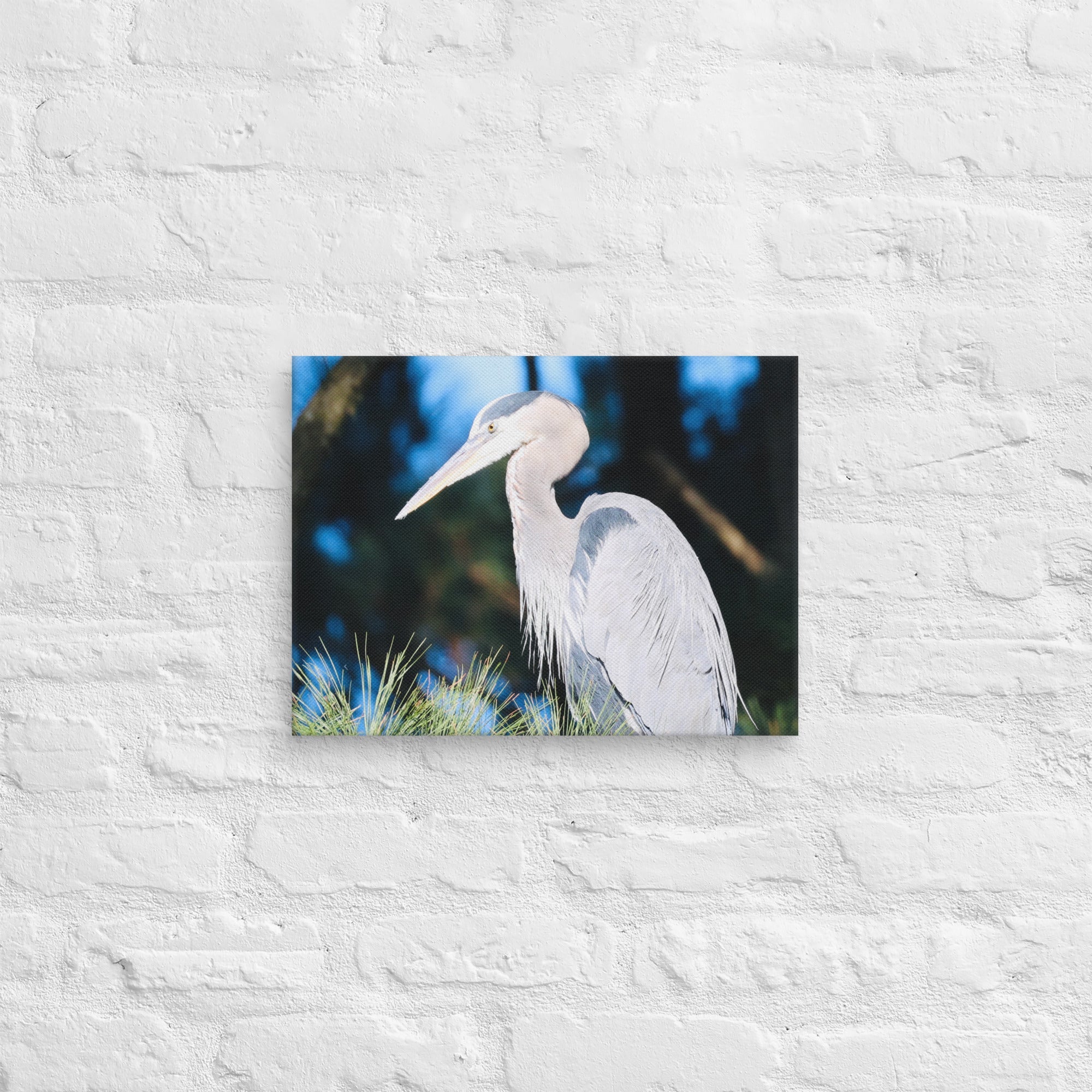 Canvas Great Blue Heron - Nature By Poli Canvas Great Blue HeronNature By Poli Nature By Poli 12″×16″