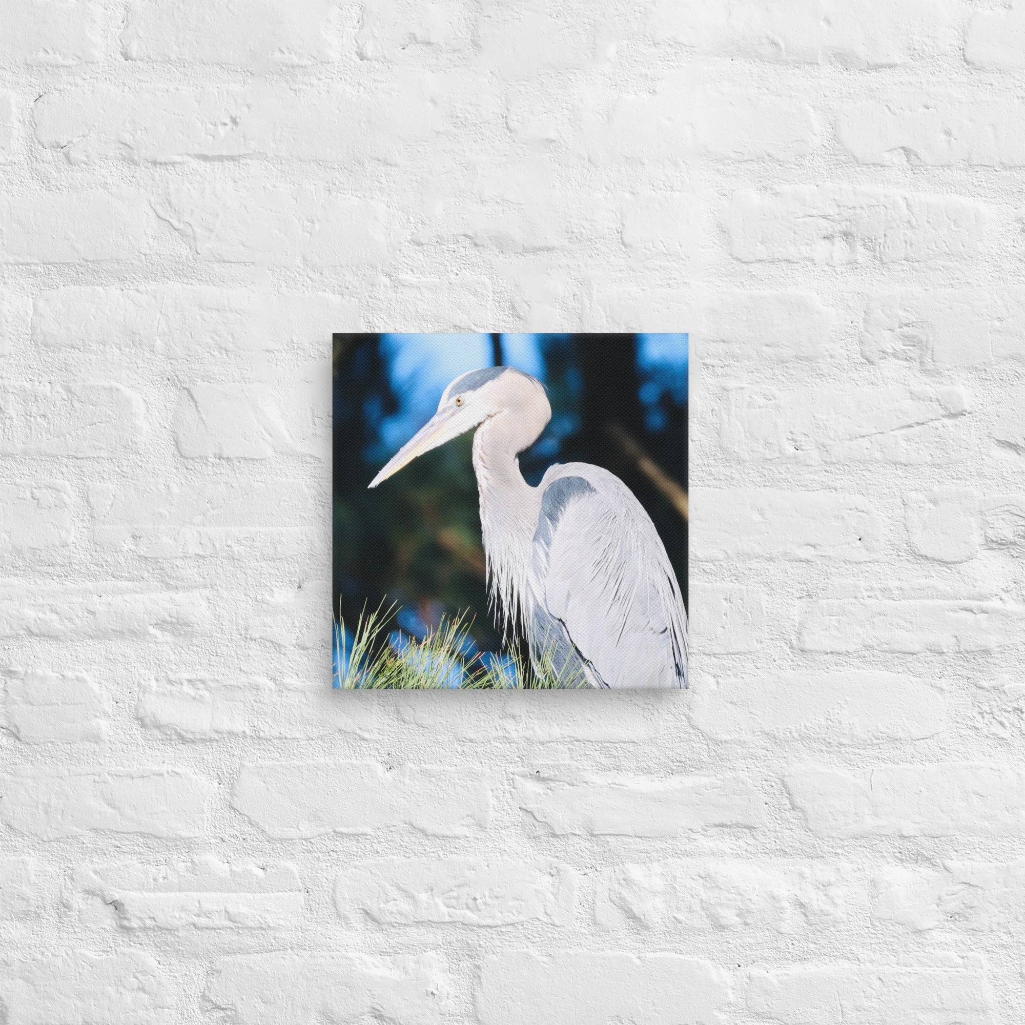 Canvas Great Blue Heron - Nature By Poli Canvas Great Blue HeronNature By Poli Nature By Poli 12″×12″