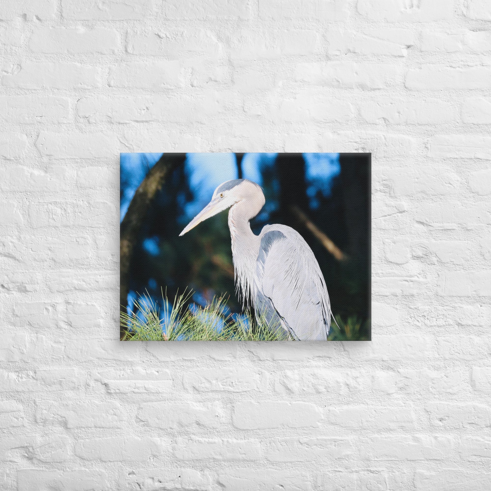 Canvas Great Blue Heron - Nature By Poli Canvas Great Blue HeronNature By Poli Nature By Poli 18″×24″