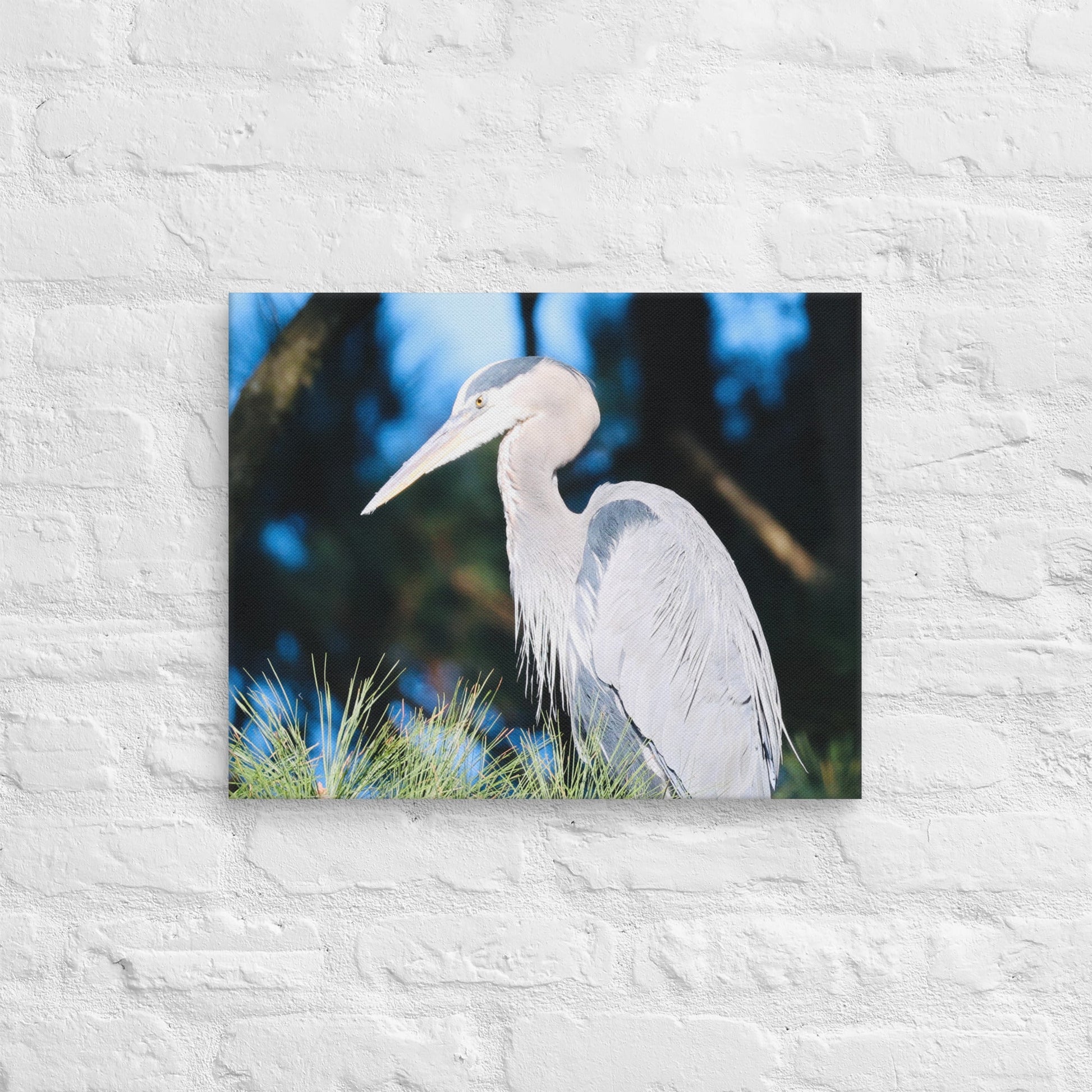 Canvas Great Blue Heron - Nature By Poli Canvas Great Blue HeronNature By Poli Nature By Poli 16″×20″