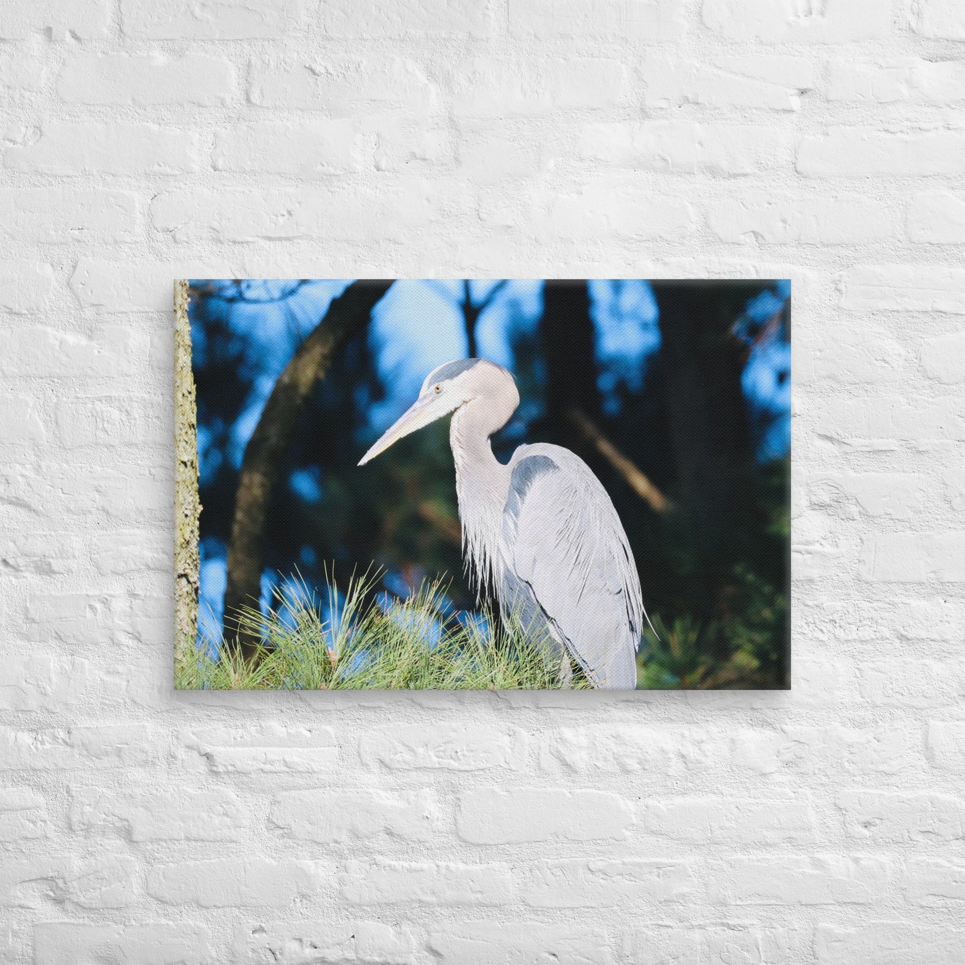 Canvas Great Blue Heron - Nature By Poli Canvas Great Blue HeronNature By Poli Nature By Poli 20″×30″