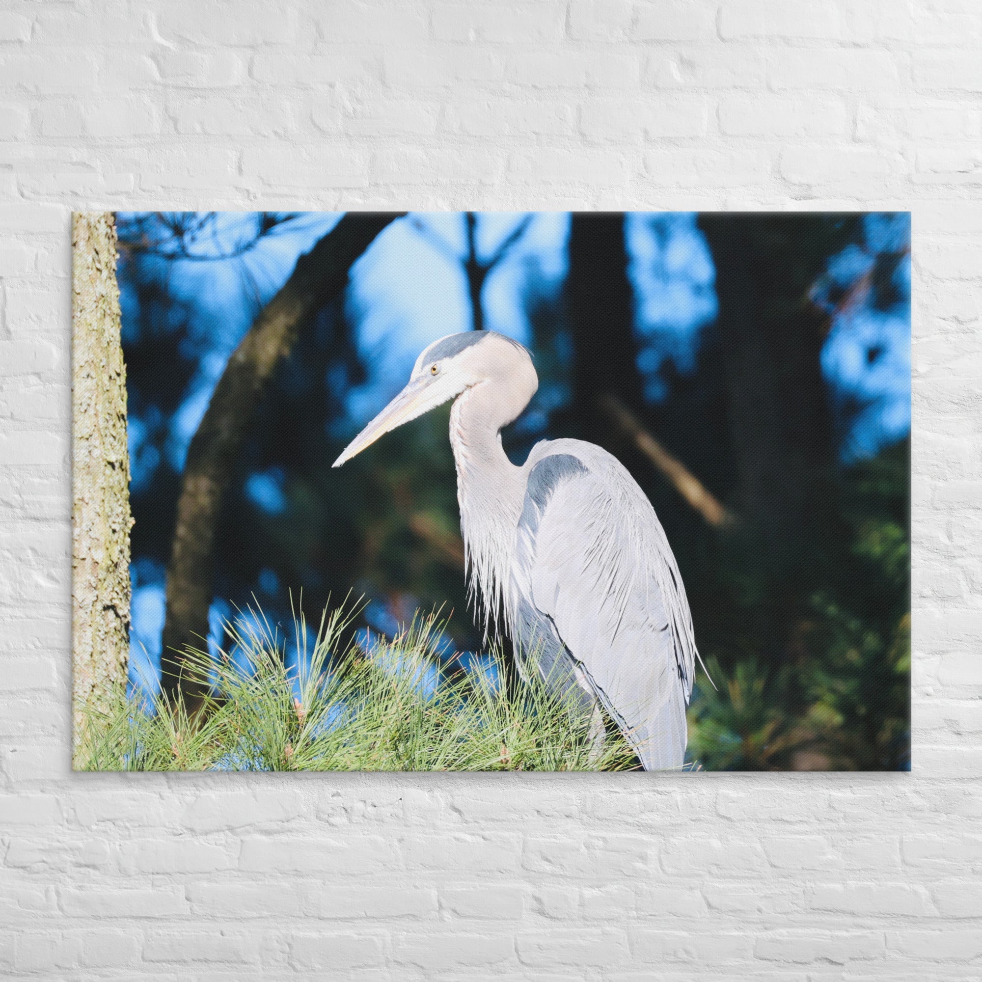 Canvas Great Blue Heron - Nature By Poli Canvas Great Blue HeronNature By Poli Nature By Poli 40″×60″
