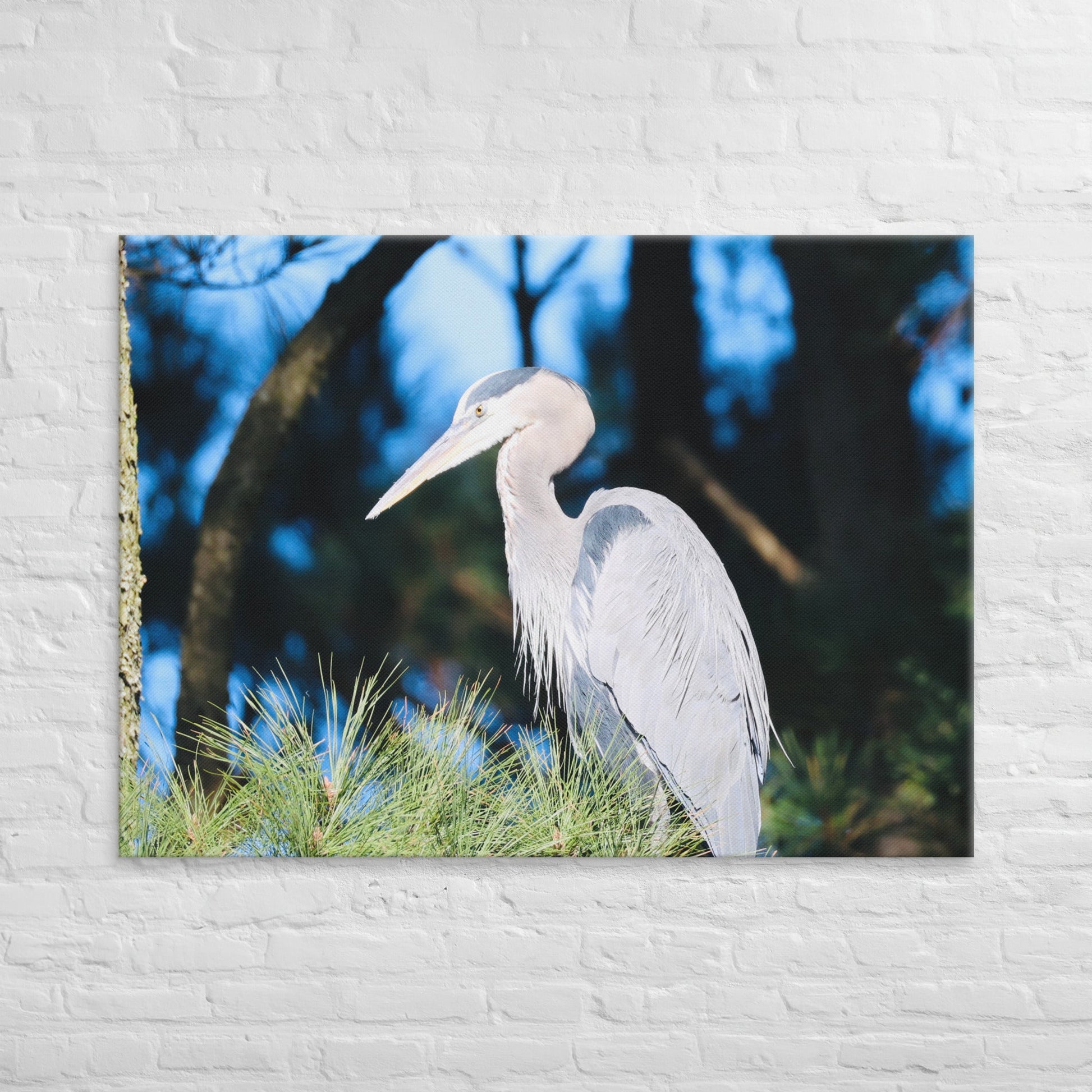 Canvas Great Blue Heron - Nature By Poli Canvas Great Blue HeronNature By Poli Nature By Poli 40″×55″