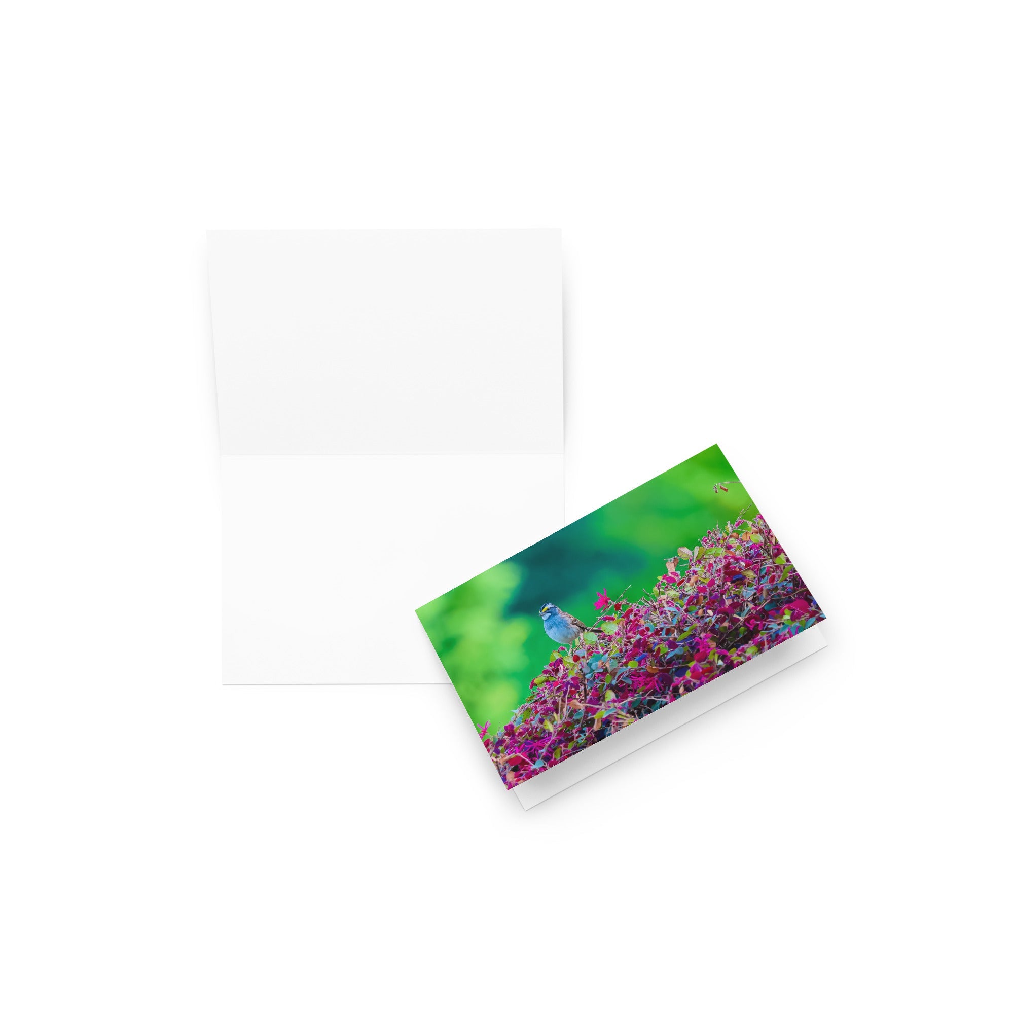 Greeting card - Nature By PoliGreeting cardNature By Poli Nature By Poli4″×6″
