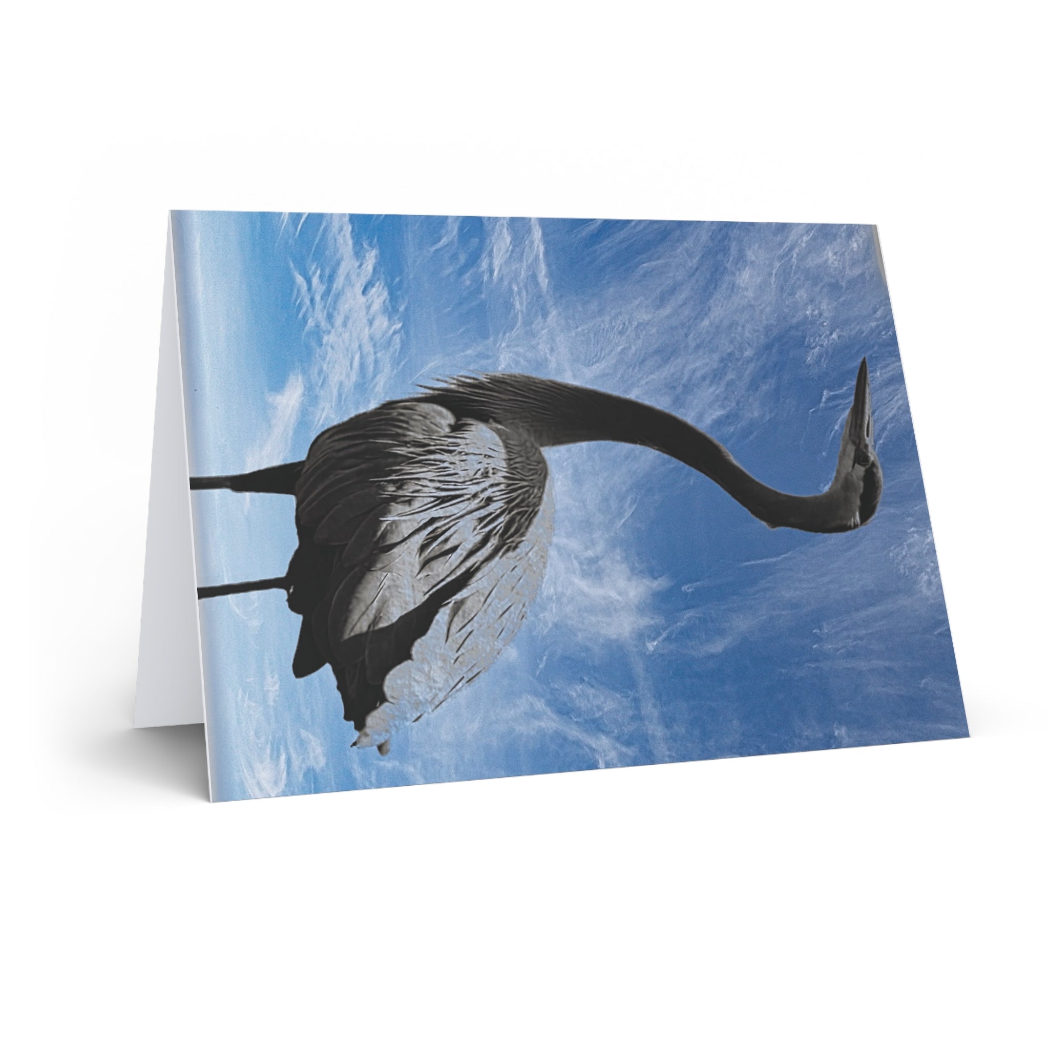 Greeting Cards - Nature By Poli ShopGreeting CardsPaper productsPrintifyNature By Poli ShopPaper products6.9" x 4.9"Glossy