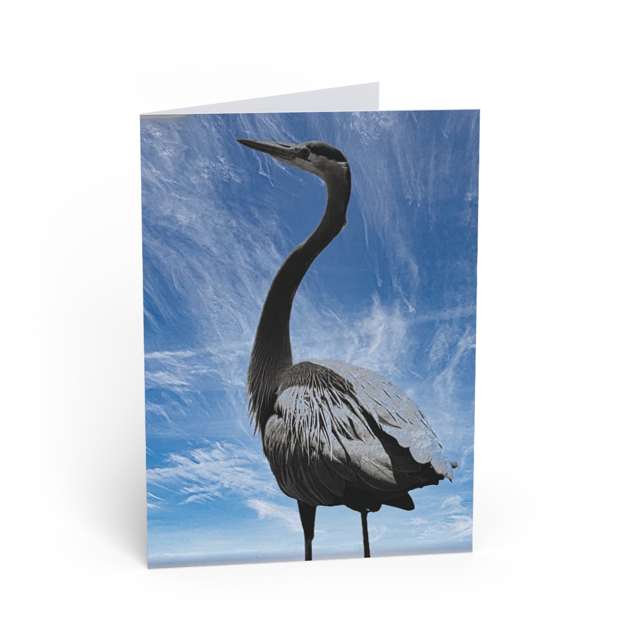 Greeting Cards - Nature By Poli ShopGreeting CardsPaper productsPrintifyNature By Poli ShopPaper products6.9" x 4.9"Glossy
