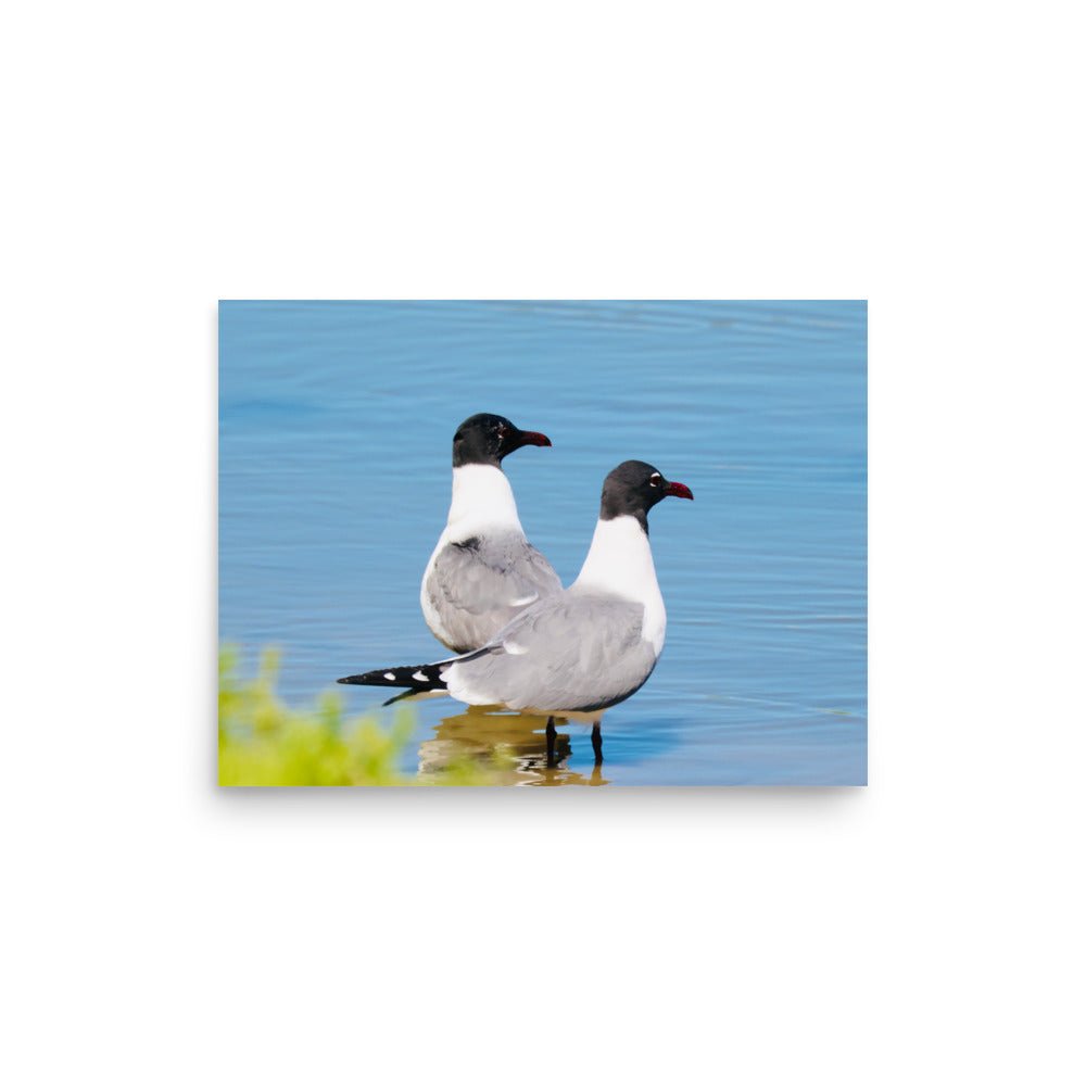 Poster - Nature By PoliPosterNature By Poli Nature By PoliA1 (23.3″×33.1″)