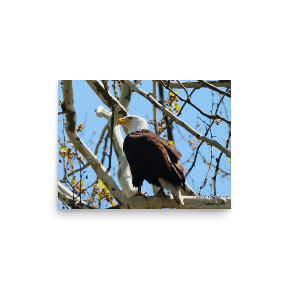 Poster - Nature By PoliPosterNature By Poli Nature By PoliA2 (16.5″×23.3″)
