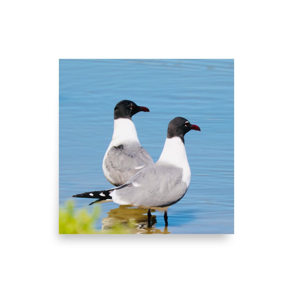 Poster - Nature By PoliPosterNature By Poli Nature By PoliA1 (23.3″×33.1″)