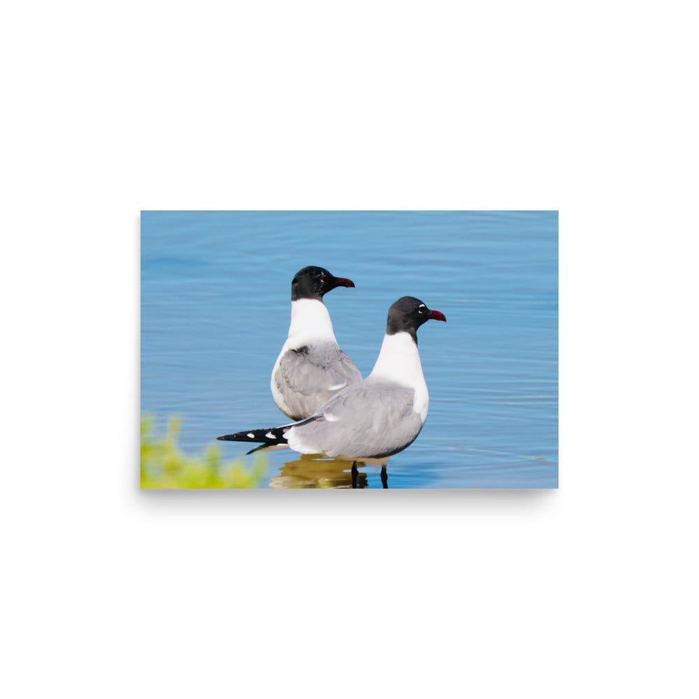 Poster - Nature By PoliPosterNature By Poli Nature By PoliA1 (23.3″×33.1″)