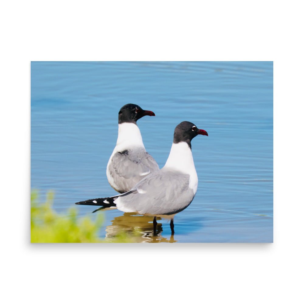 Poster - Nature By PoliPosterNature By Poli Nature By PoliA1 (23.3″×33.1″)