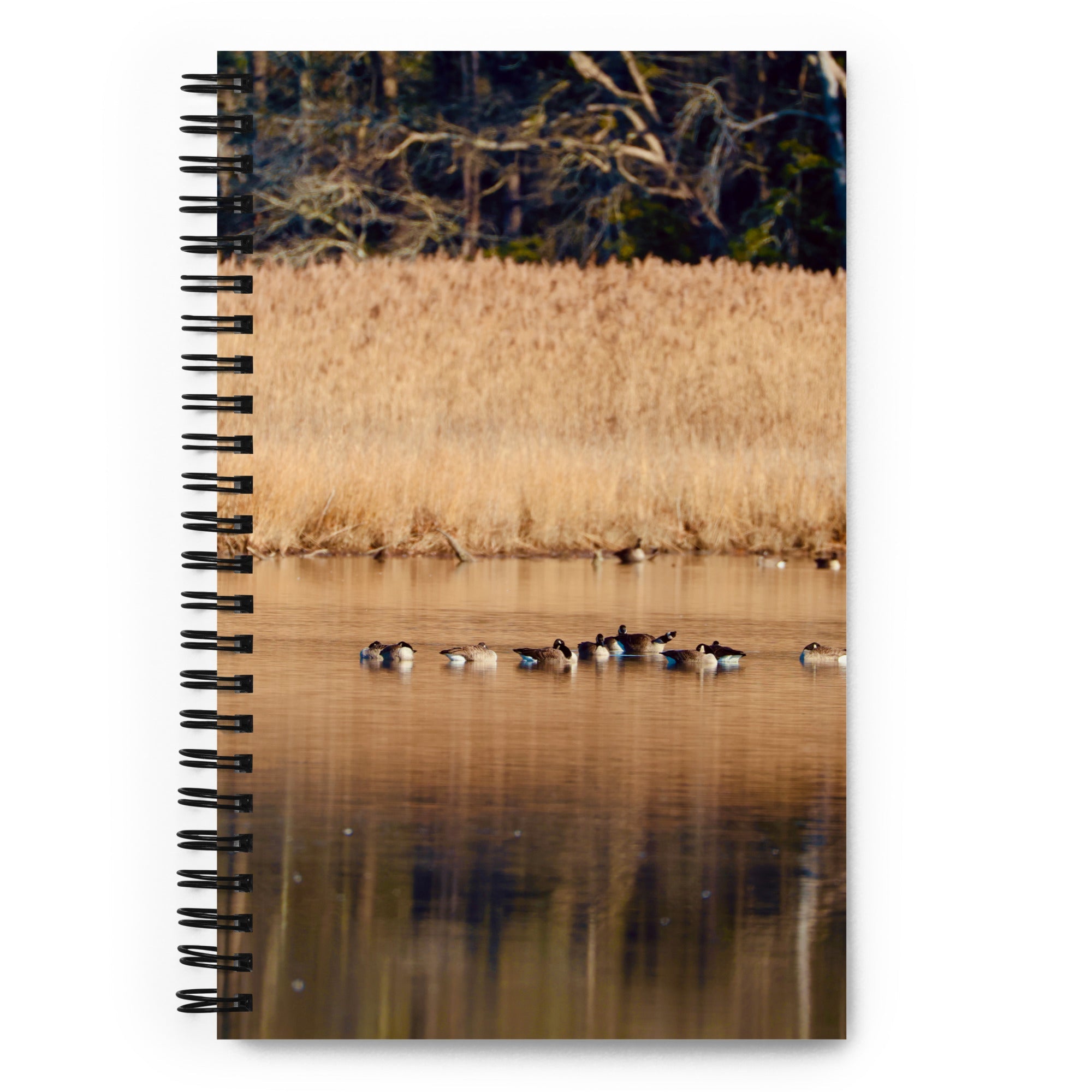 Spiral notebook - Nature By PoliSpiral notebookNature By Poli Nature By Poli
