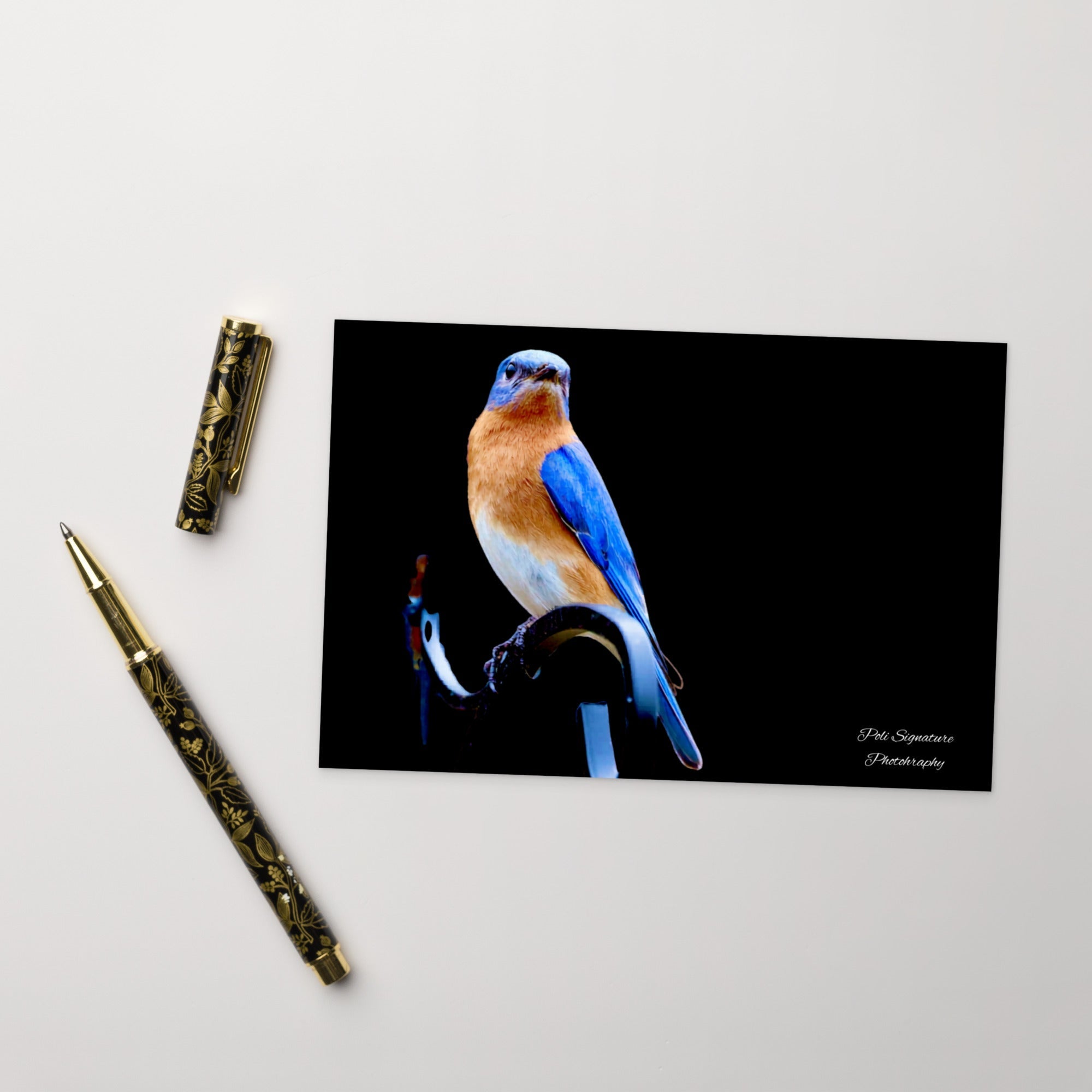 Standard Postcard - Nature By PoliStandard PostcardNature By Poli Nature By Poli