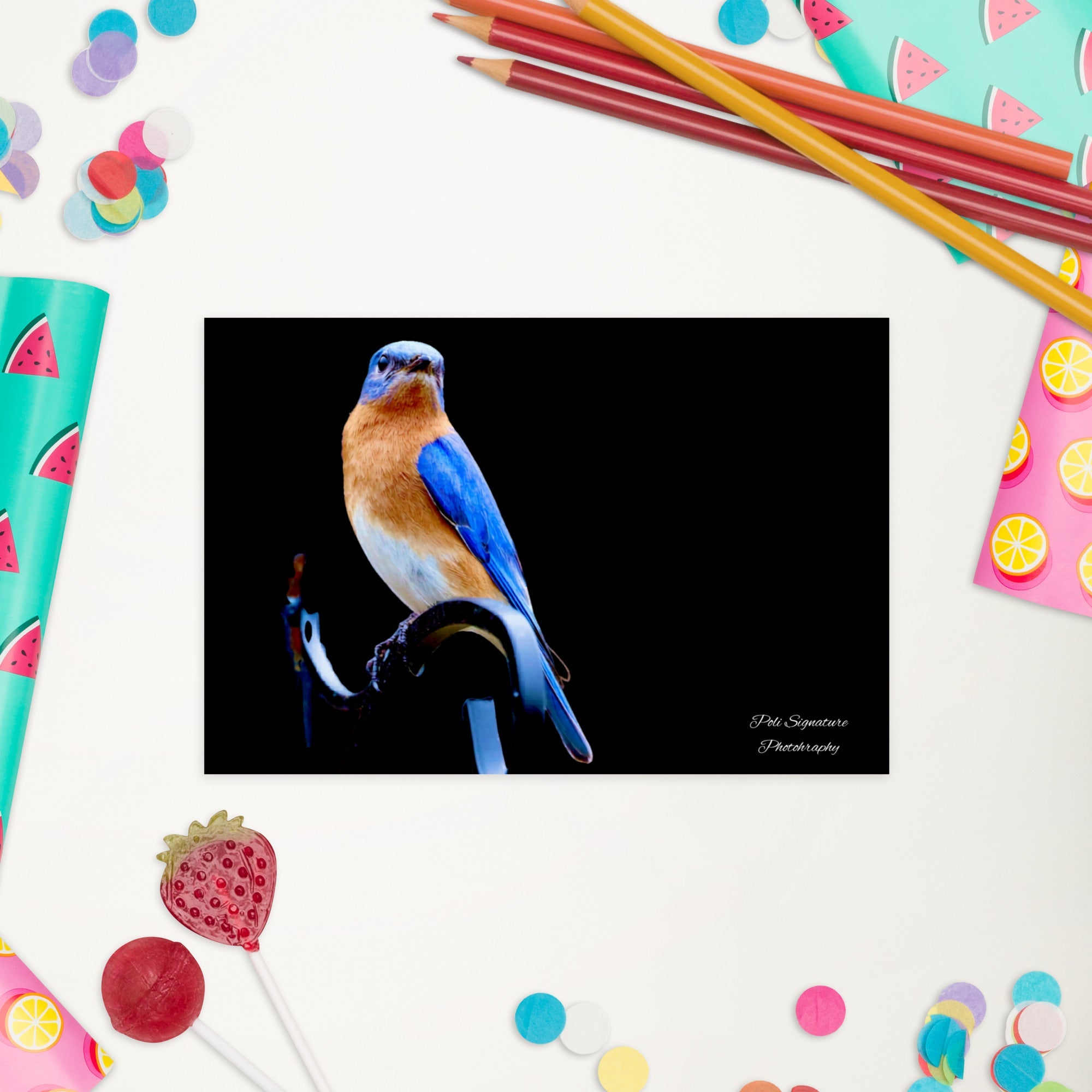 Standard Postcard - Nature By PoliStandard PostcardNature By Poli Nature By Poli